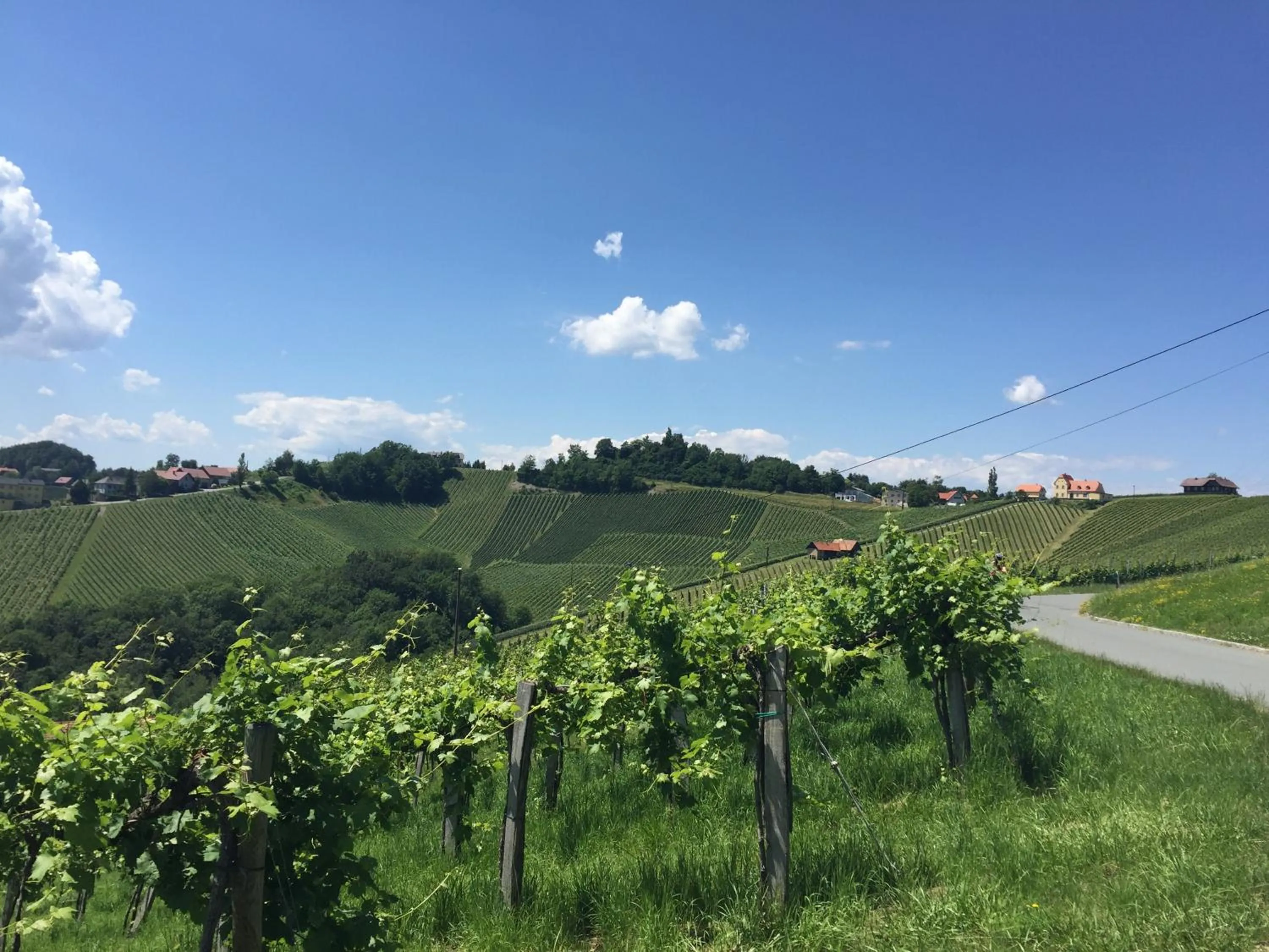 Natural landscape in Hotel am Marktplatz - Landgasthof Wratschko - Gamlitz