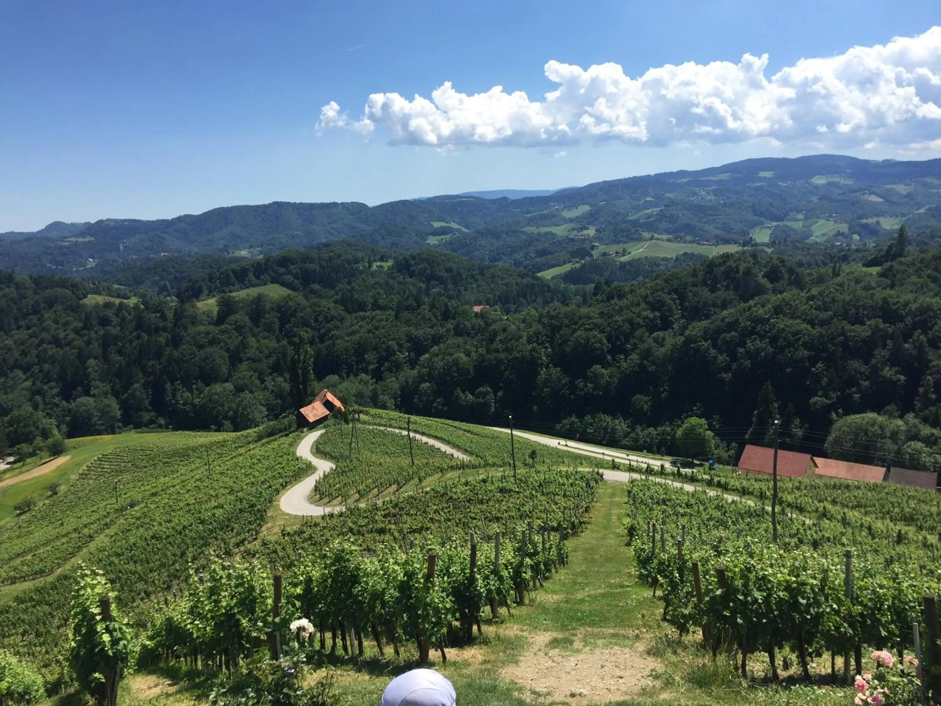 Nearby landmark in Hotel am Marktplatz - Landgasthof Wratschko - Gamlitz