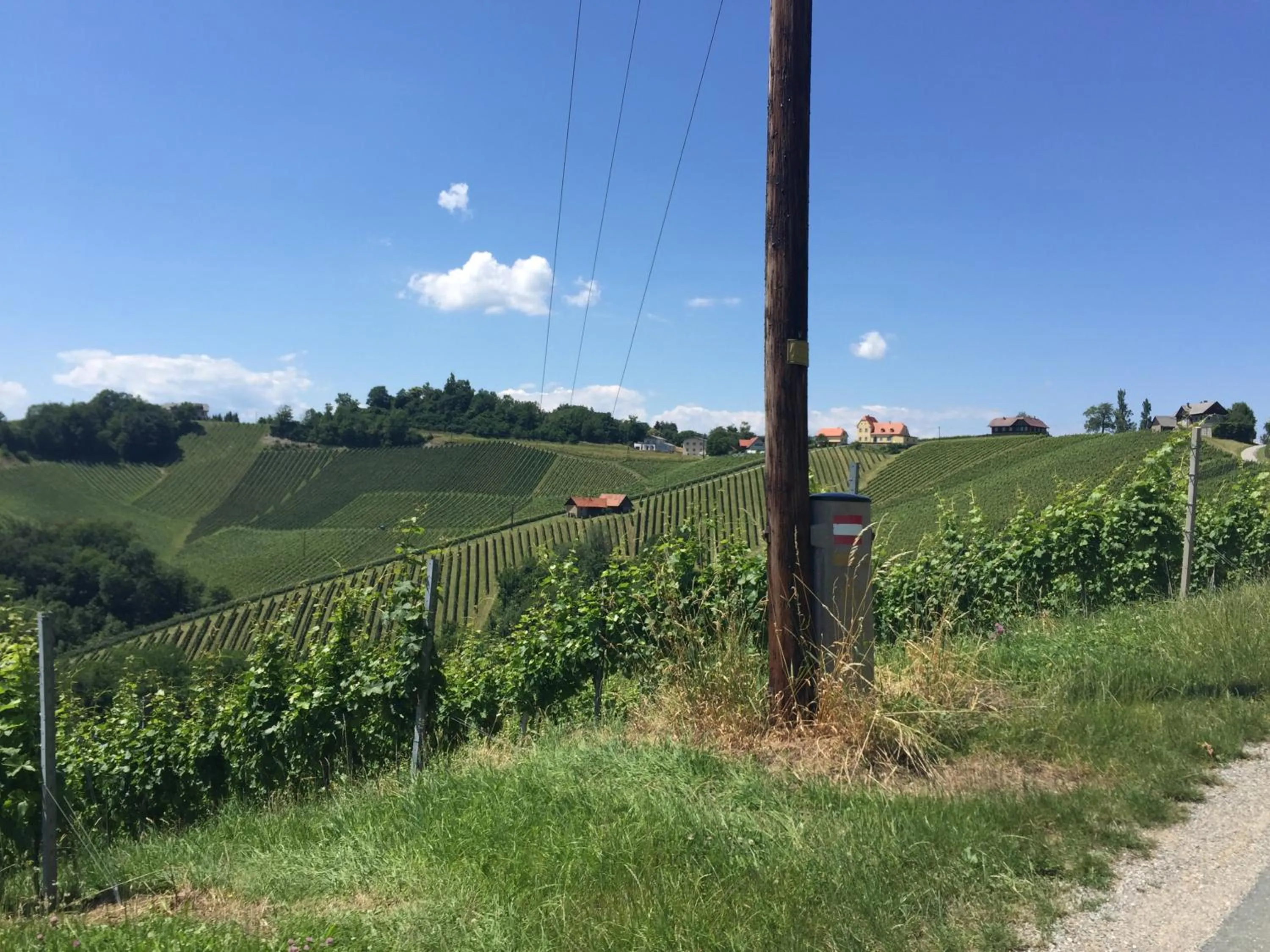Natural landscape in Hotel am Marktplatz - Landgasthof Wratschko - Gamlitz