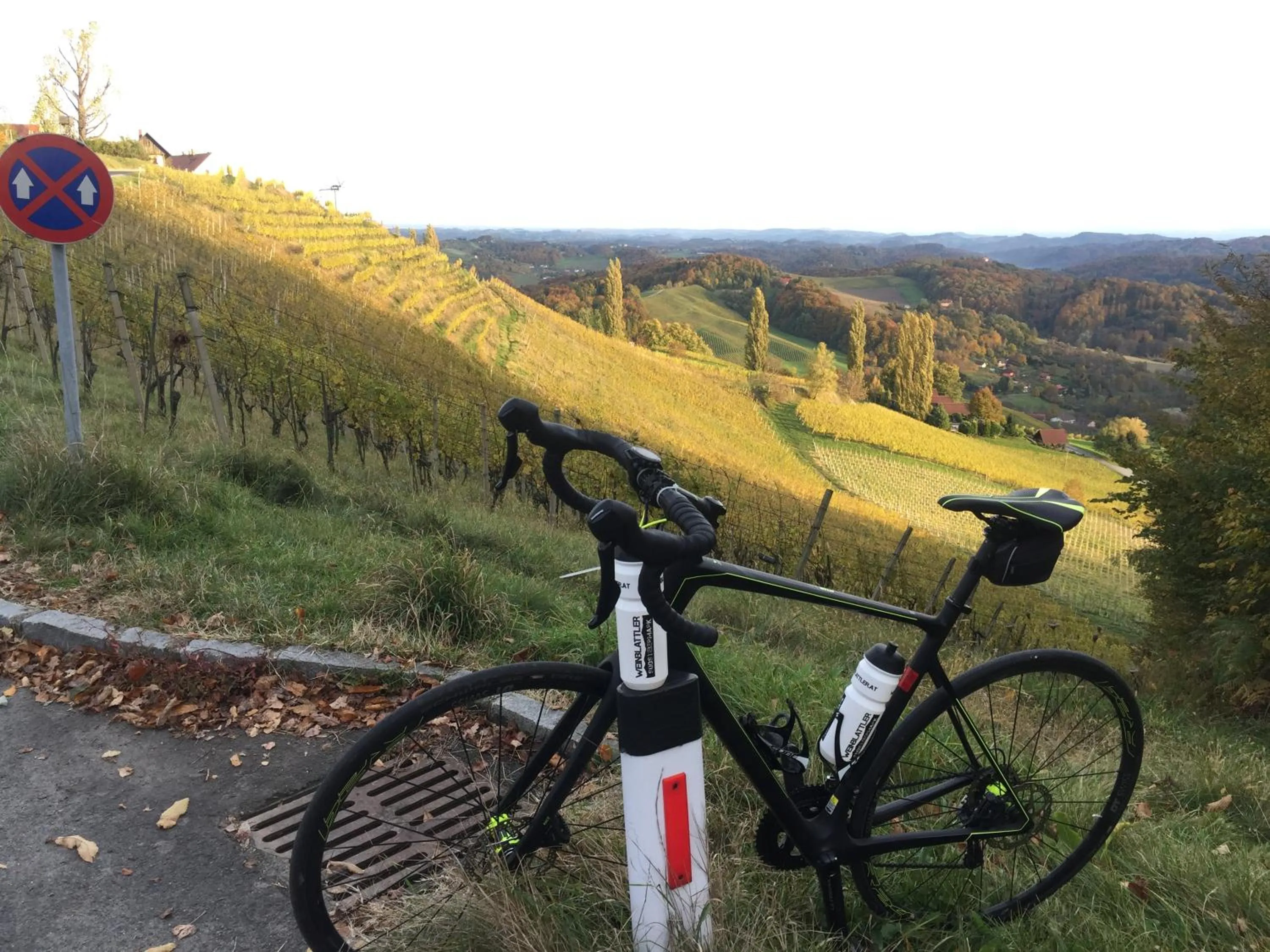 Natural landscape in Hotel am Marktplatz - Landgasthof Wratschko - Gamlitz
