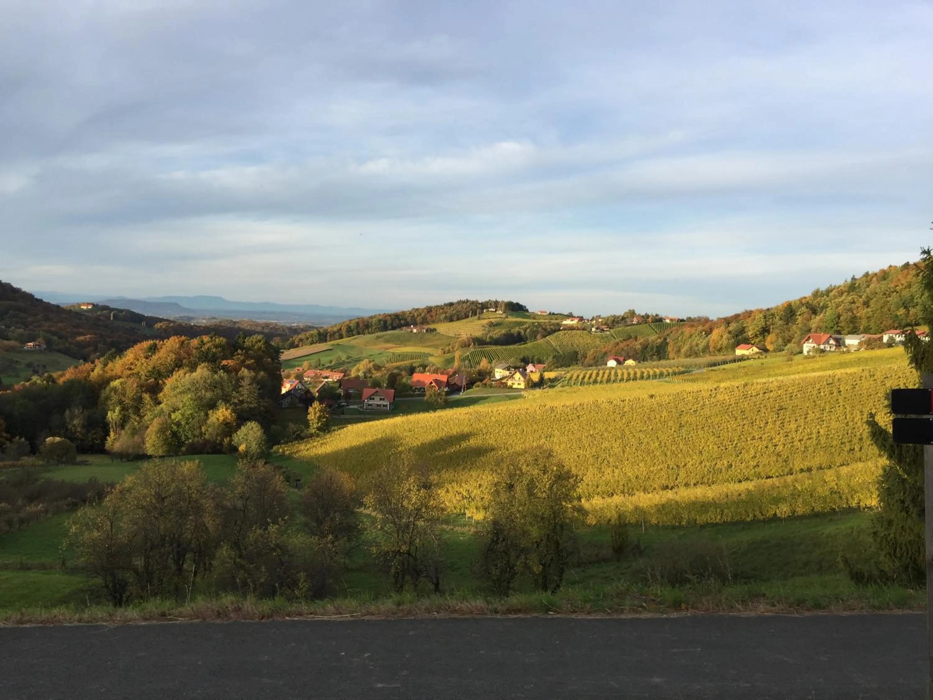 Natural landscape in Hotel am Marktplatz - Landgasthof Wratschko - Gamlitz
