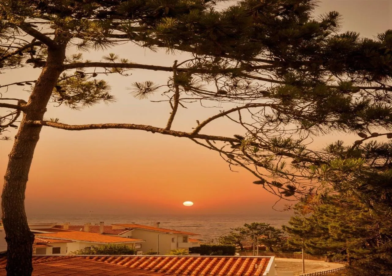 Natural landscape in Hotel Verde Pinho Bed&Breakfast