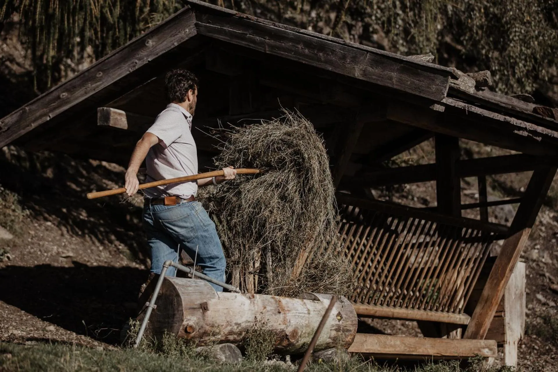 Garden in Parkhotel Matrei