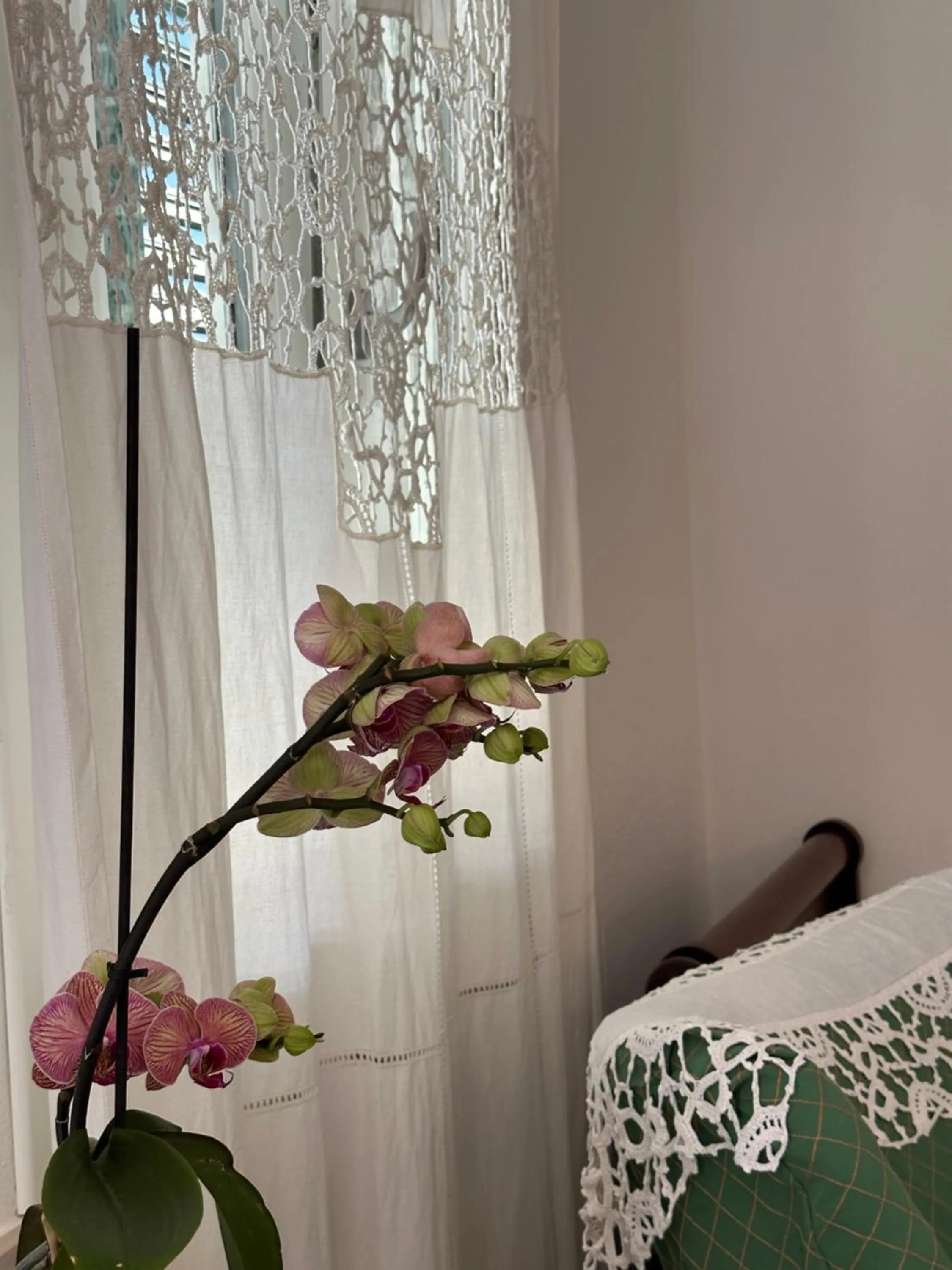 View (from property/room), Bed in Domus Socolatae Residenza d'Epoca Charming B&B - Adults Only