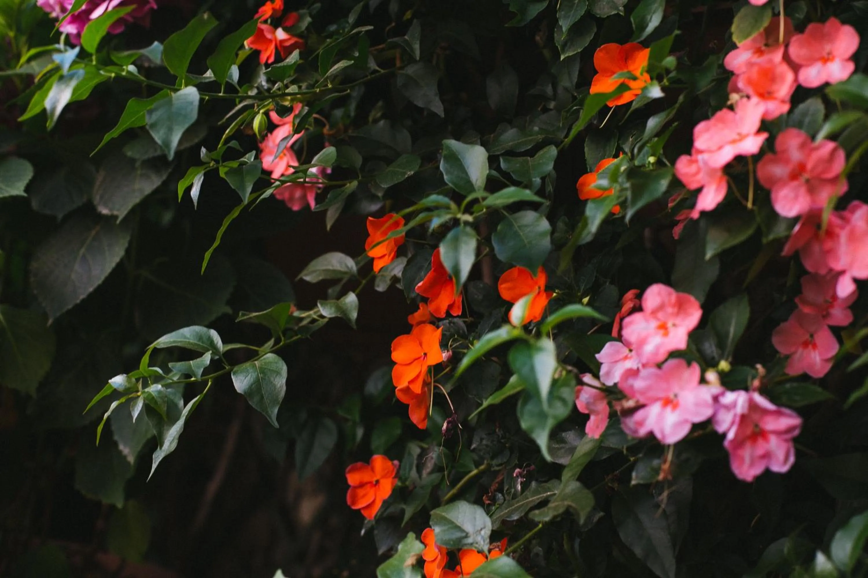 Property building in Domus Socolatae Residenza d'Epoca Charming B&B - Adults Only