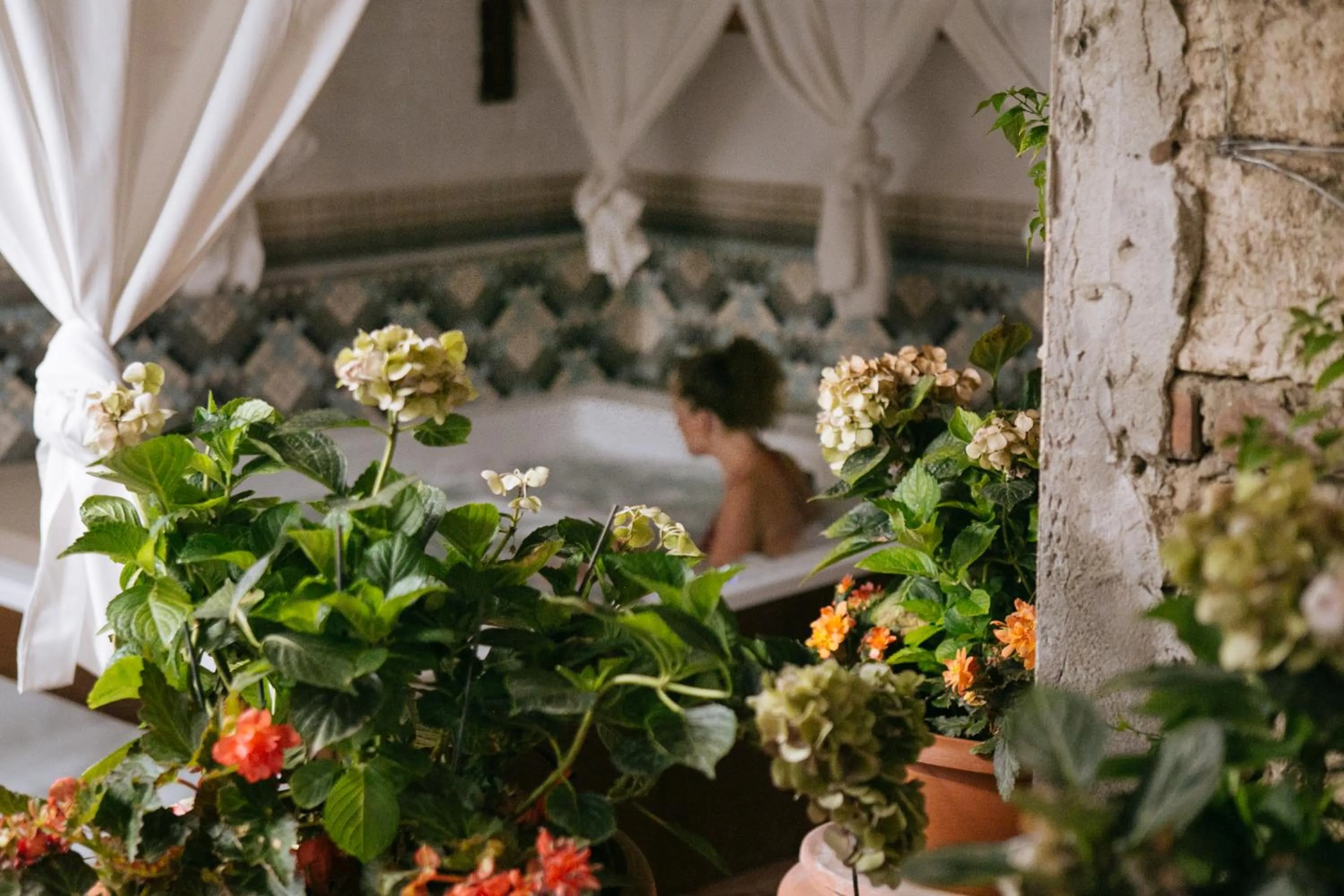 Pool view in Domus Socolatae Residenza d'Epoca Charming B&B - Adults Only