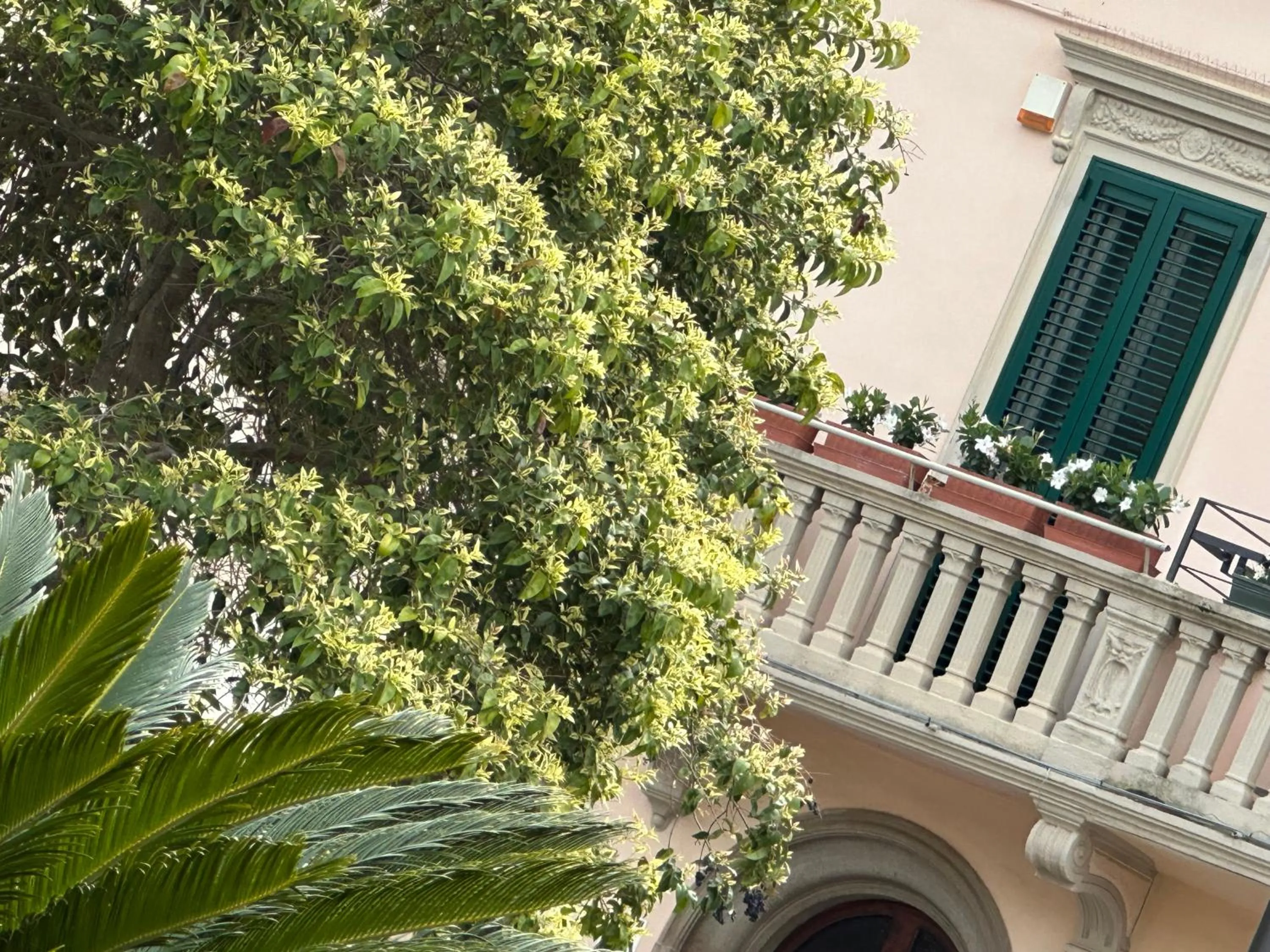 City view in Domus Socolatae Residenza d'Epoca Charming B&B - Adults Only