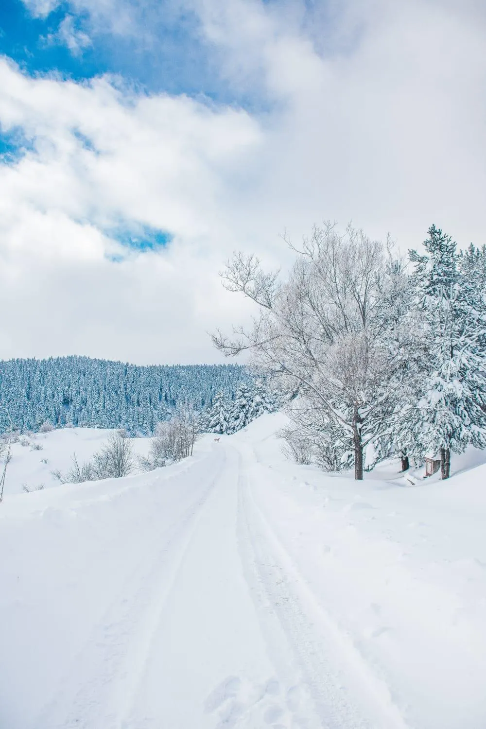 Property building in Elifim Resort Hotel