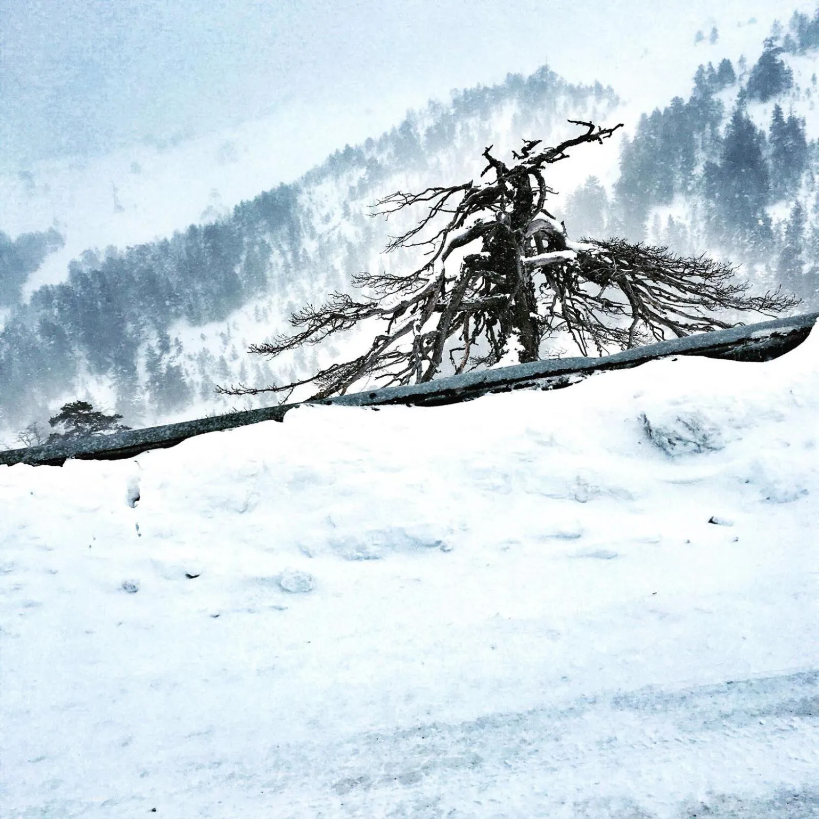 Property building in Elifim Resort Hotel