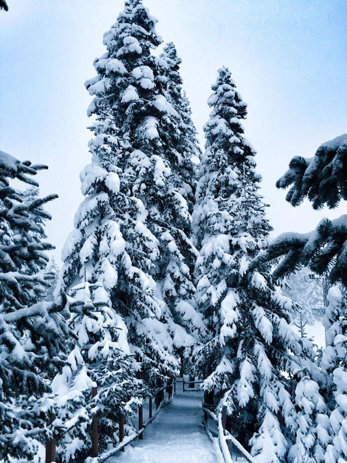 Property building in Elifim Resort Hotel