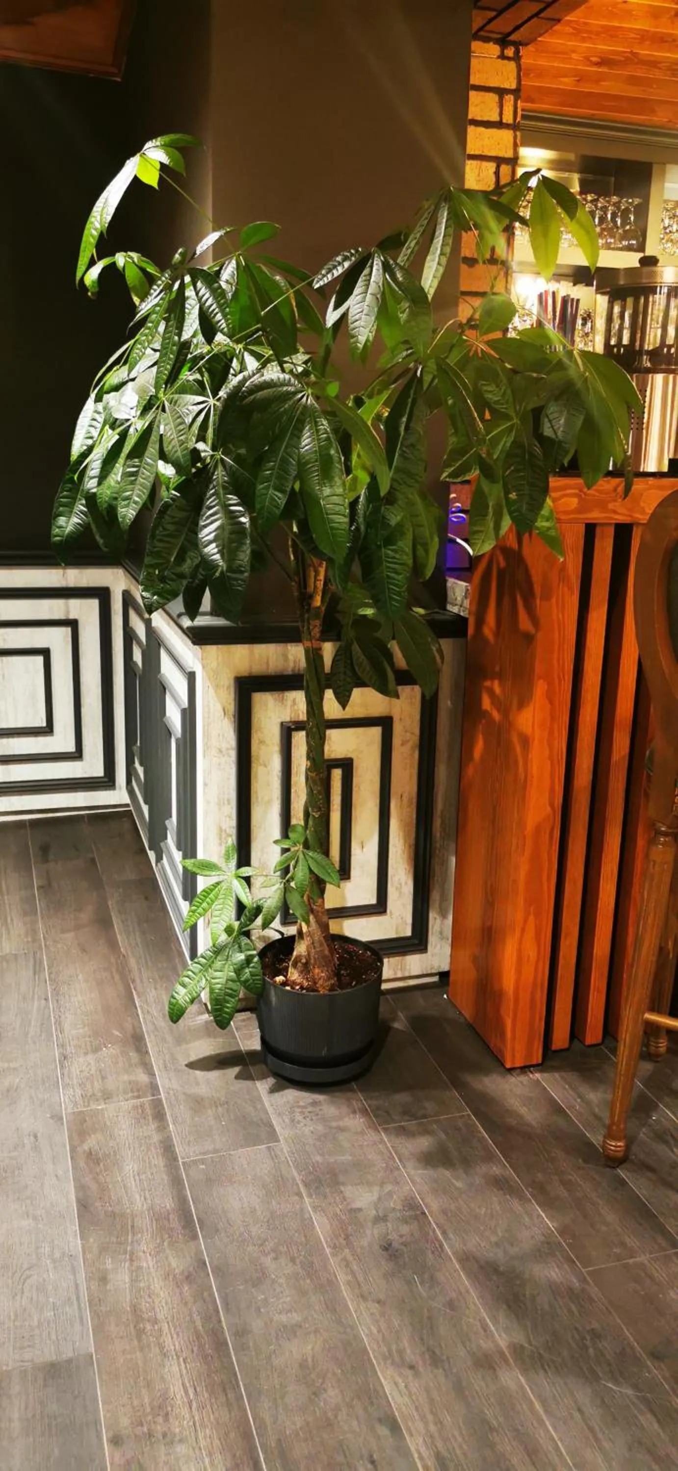 Banquet/Function facilities in Elifim Resort Hotel