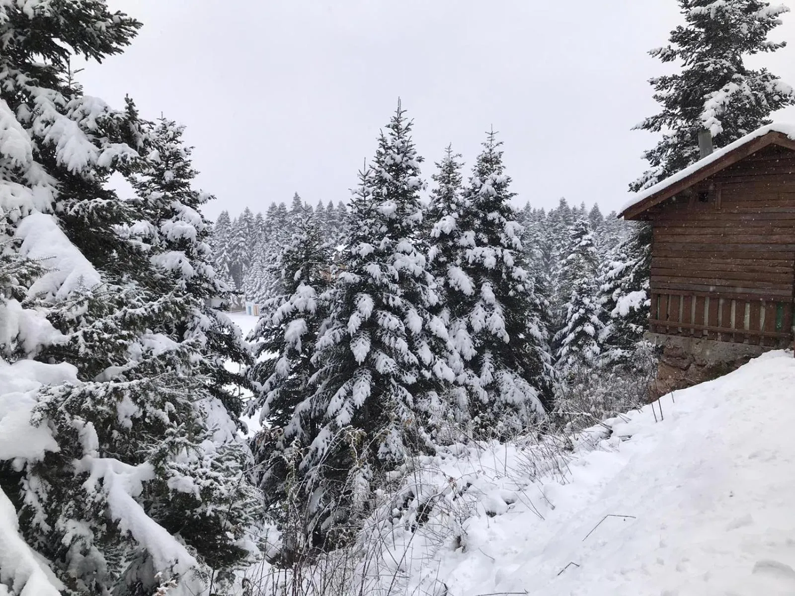 Property building in Elifim Resort Hotel