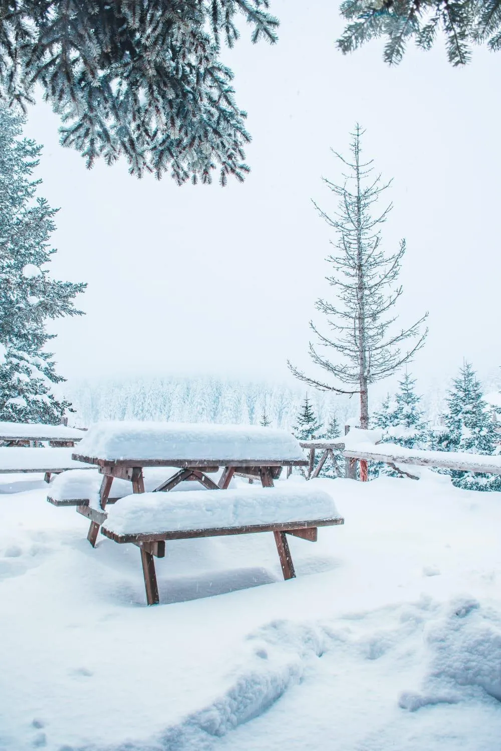 Property building in Elifim Resort Hotel