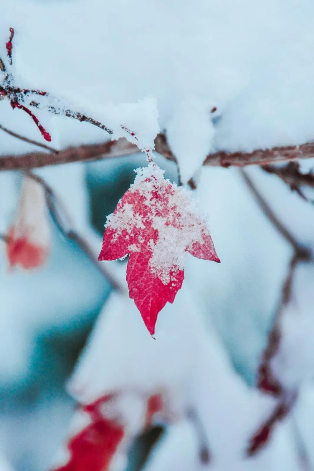 Property building in Elifim Resort Hotel