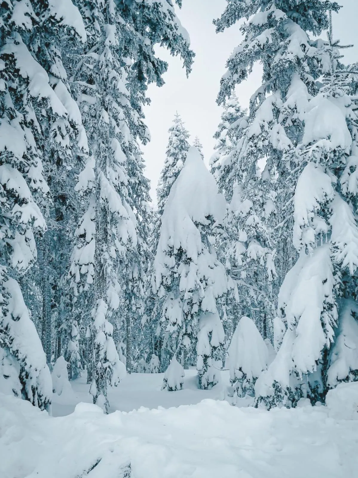 Property building in Elifim Resort Hotel