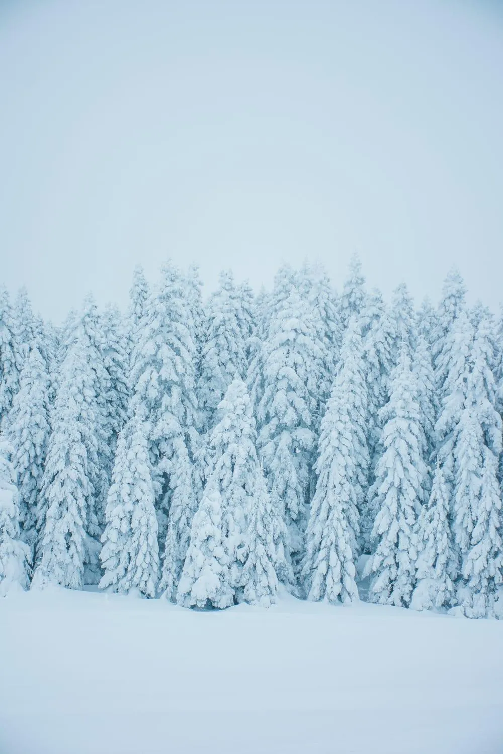 Property building in Elifim Resort Hotel