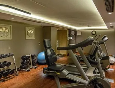 Fitness centre/facilities in Comfort Inn Tulip Heights