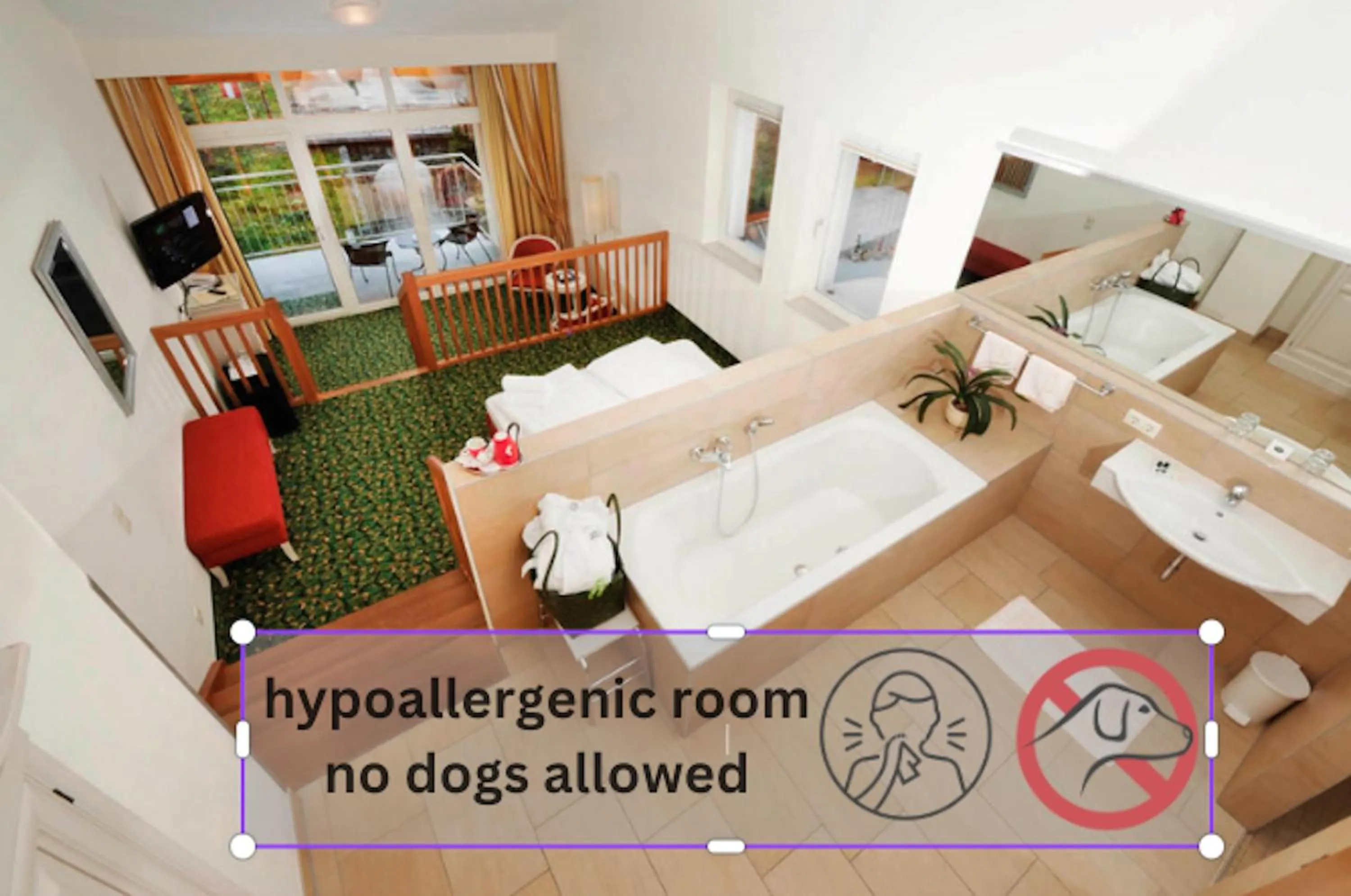 Photo of the whole room in Gartenhotel & Weingut Pfeffel Dürnstein