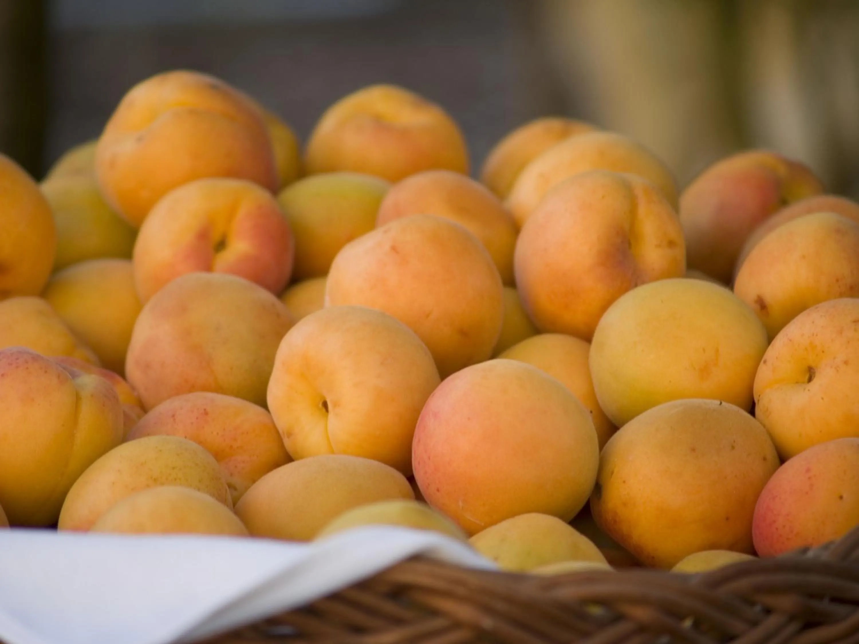 Food in Gartenhotel & Weingut Pfeffel Dürnstein