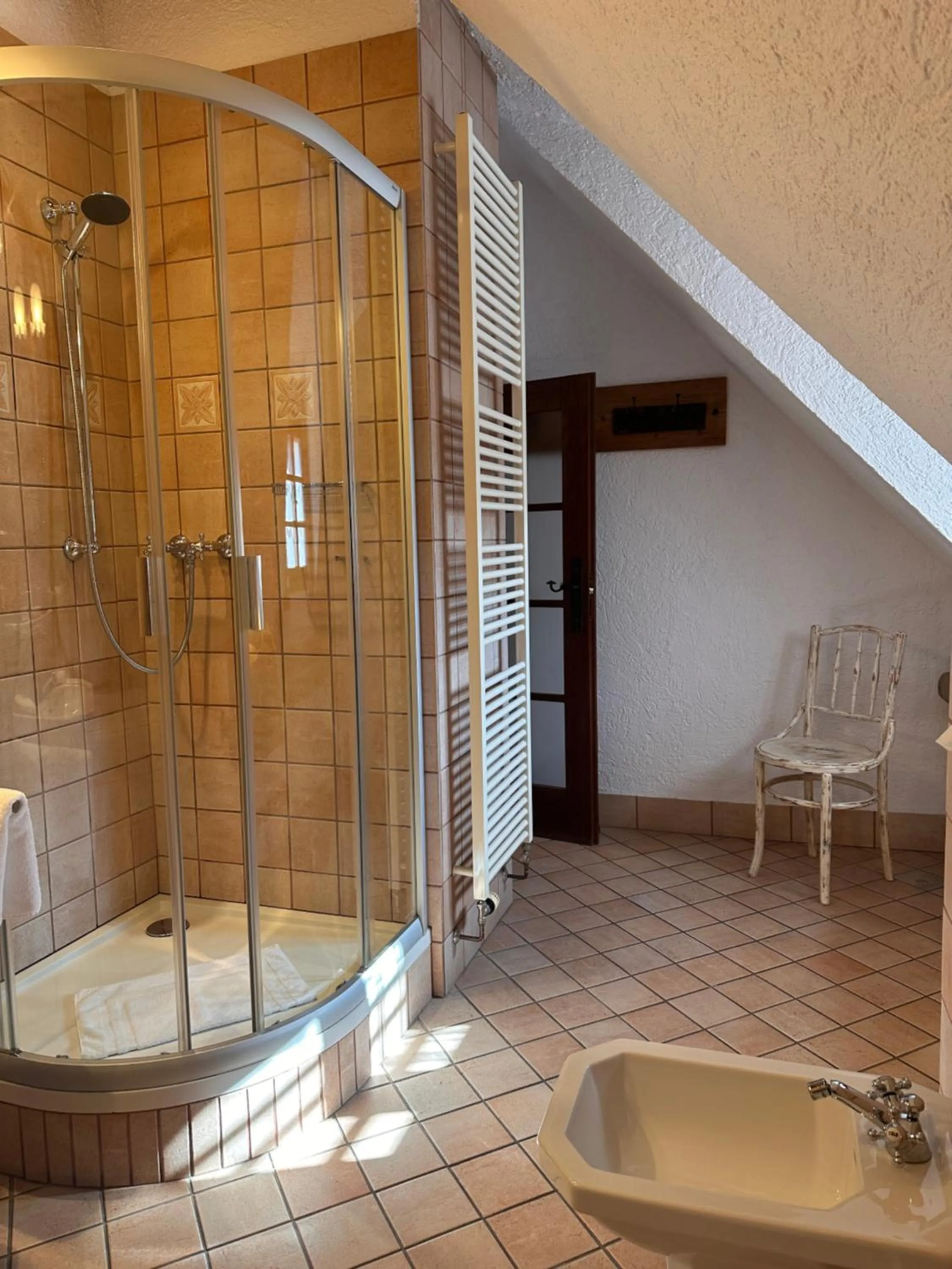 Shower in Romantik Hotel U Raka