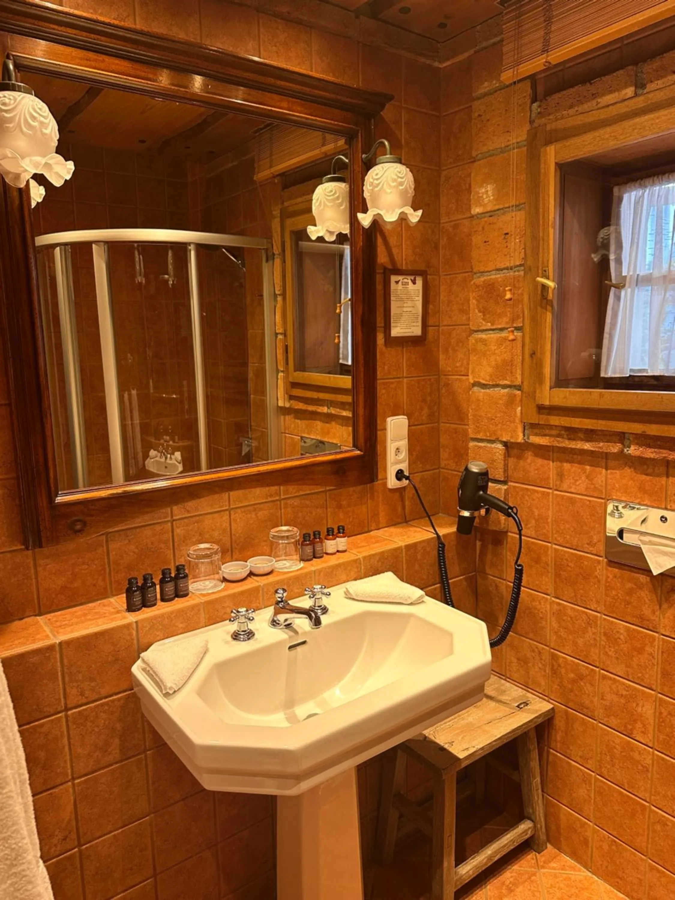 Bathroom in Romantik Hotel U Raka