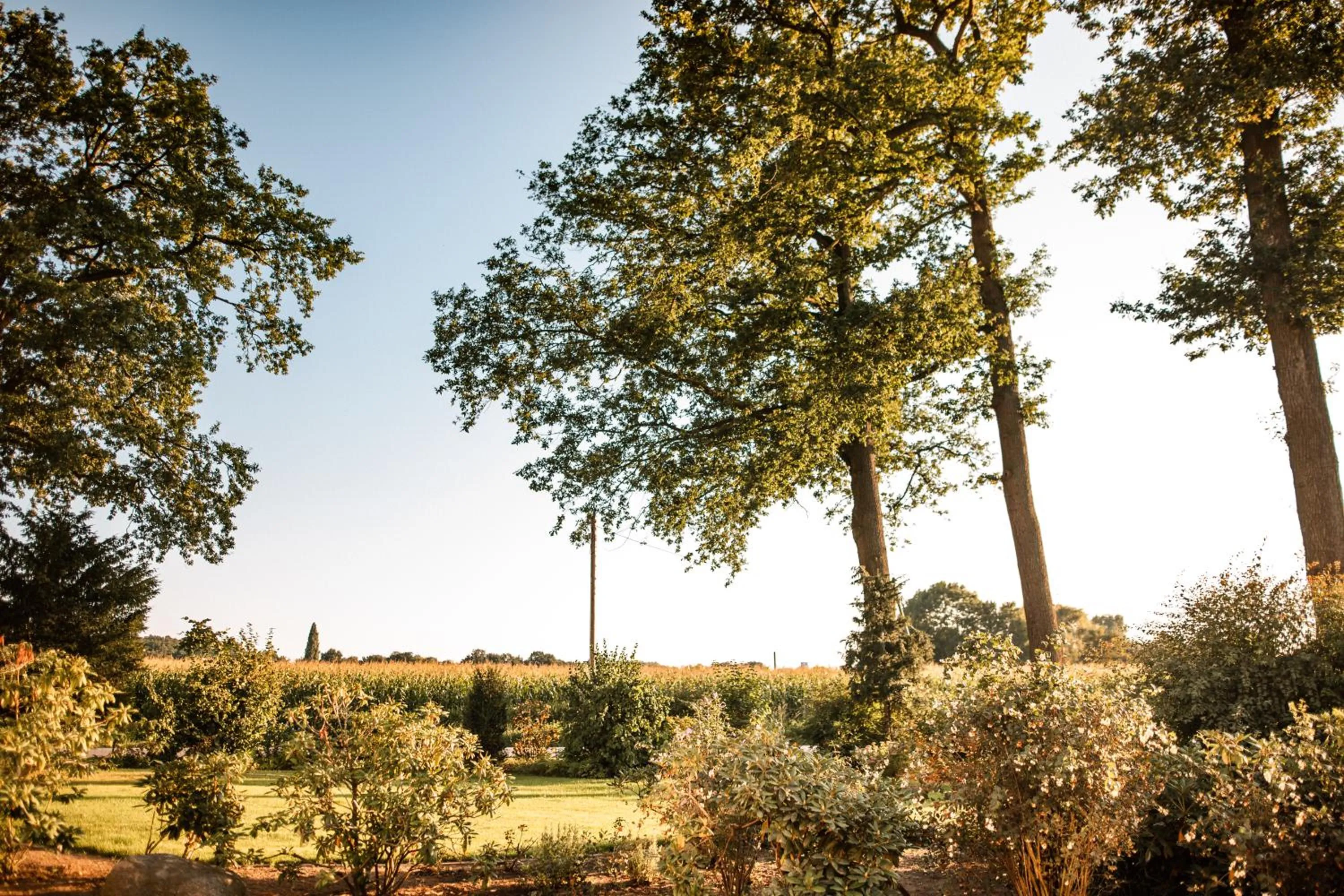 View (from property/room) in Gästehaus Meiwes