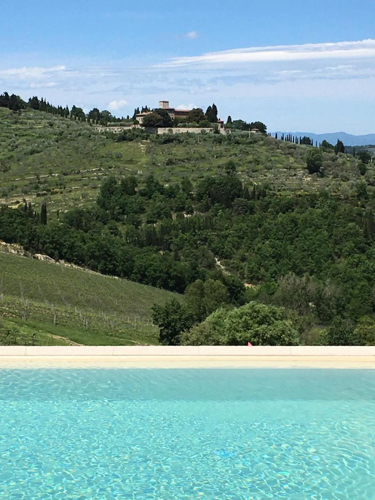 Swimming pool in La Pietra Del Cabreo