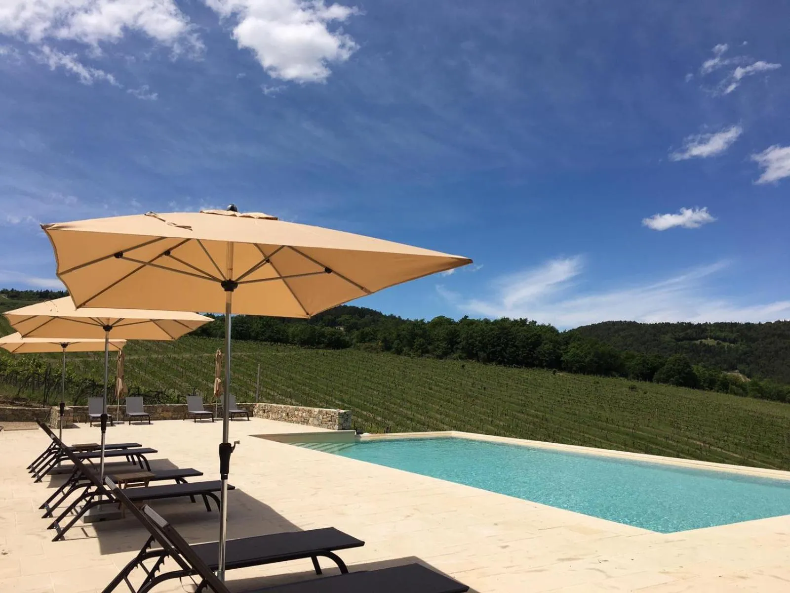 Swimming pool in La Pietra Del Cabreo
