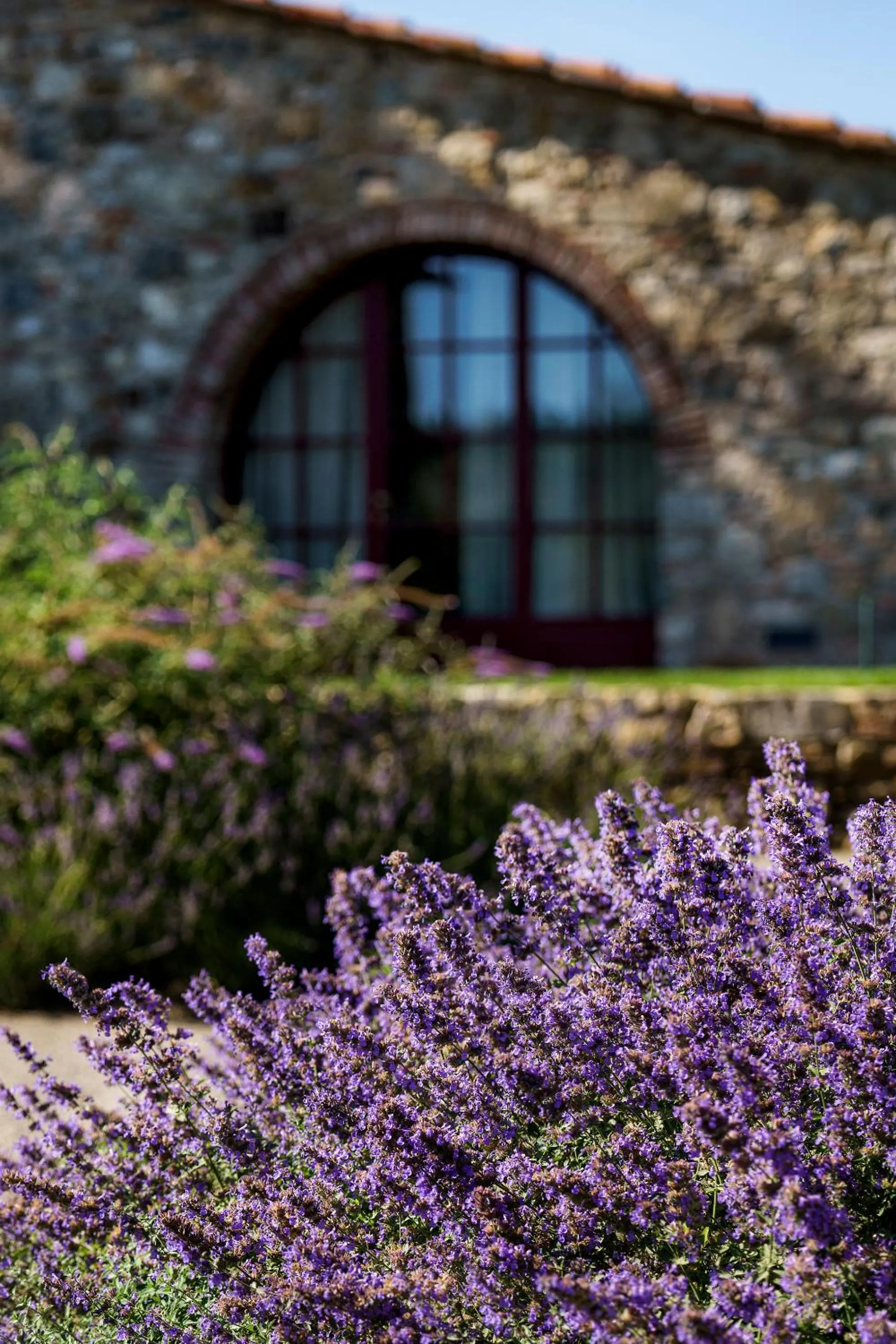 Property building in La Pietra Del Cabreo