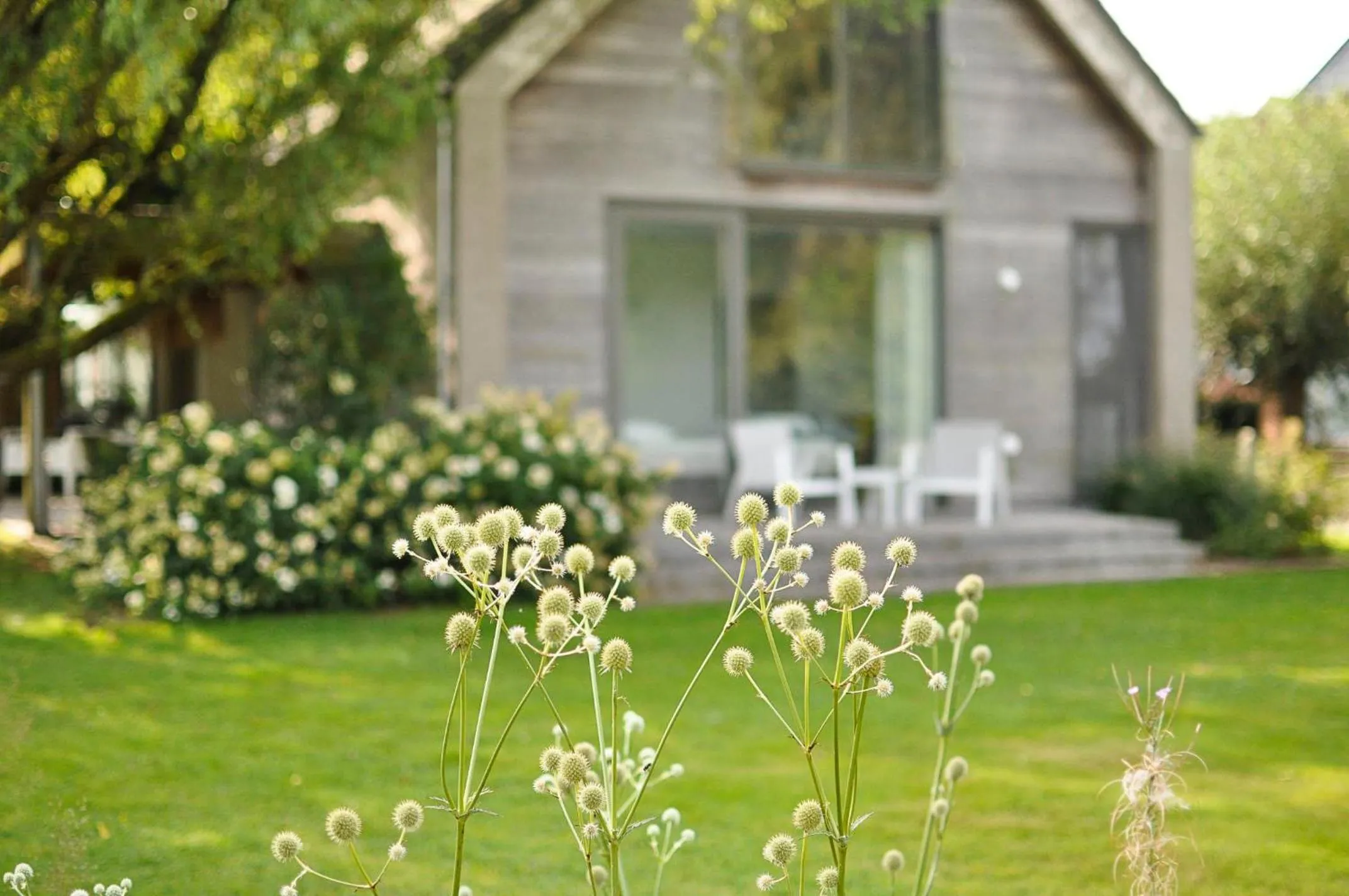 Garden view in B&B Villa Tartine