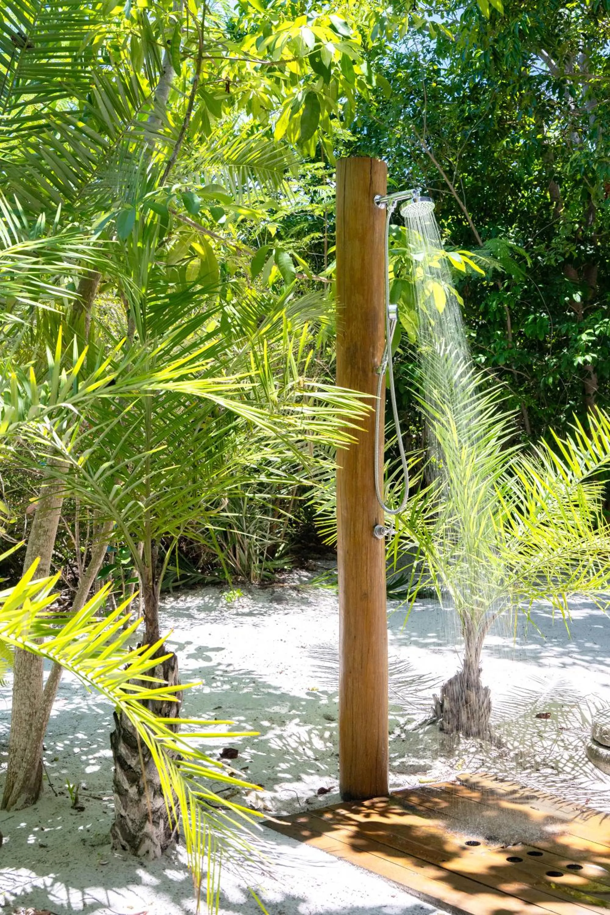 Day in Casa 3A Tivoli Ecoresidences