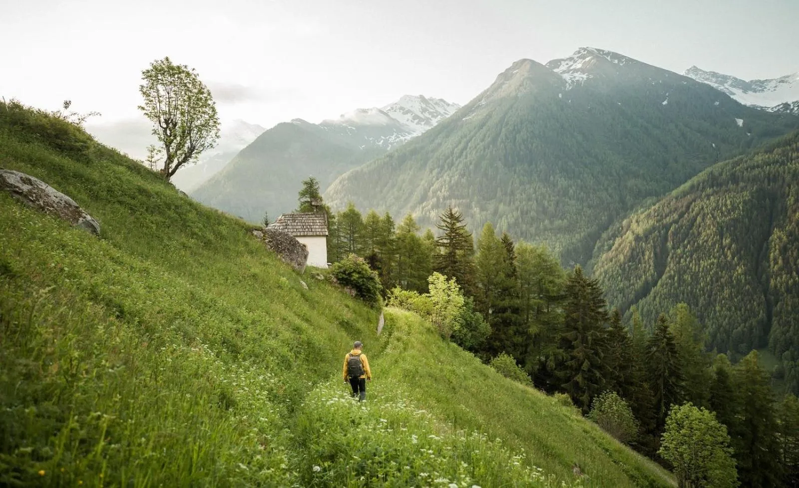 Natural landscape in Bühelwirt