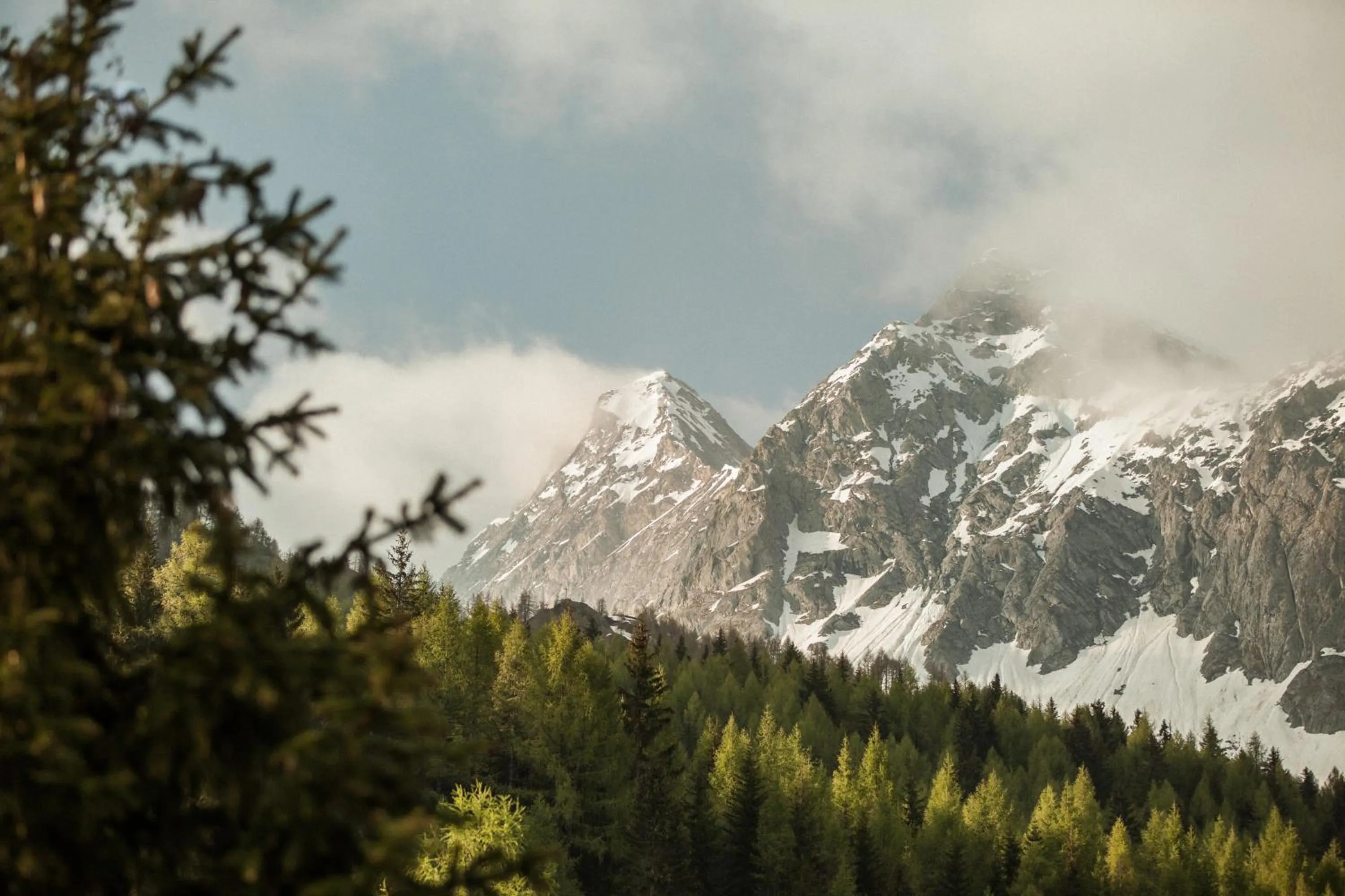 Natural landscape in Bühelwirt