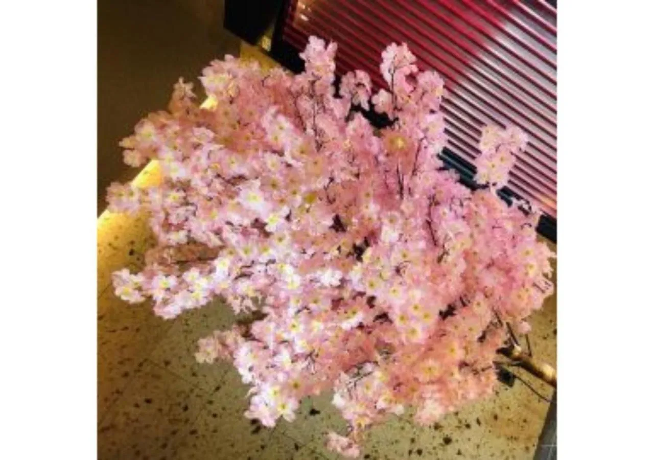 Sakura Sky Hotel - Vacation STAY 18442v