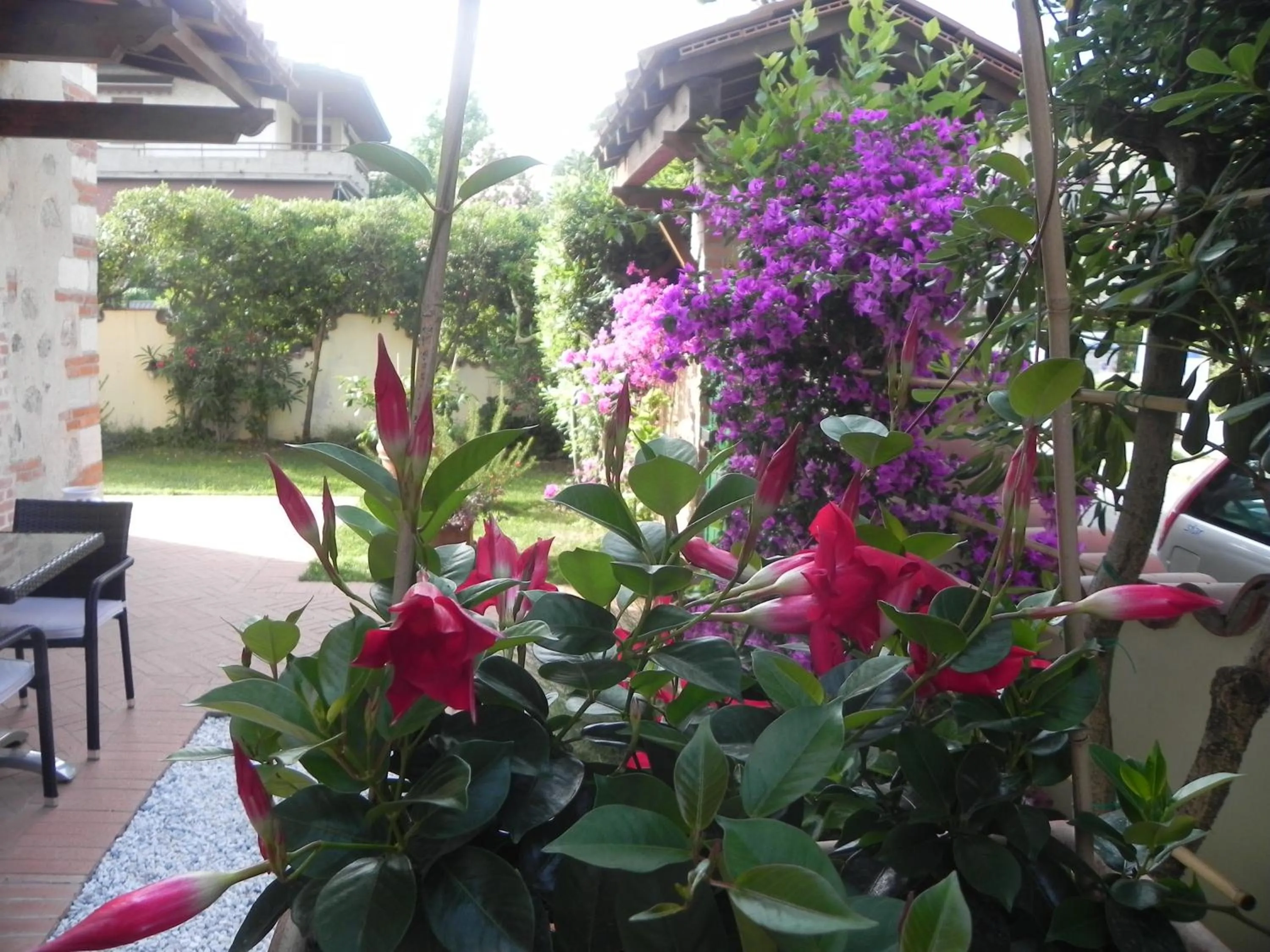 Garden in Villa Il Fortino