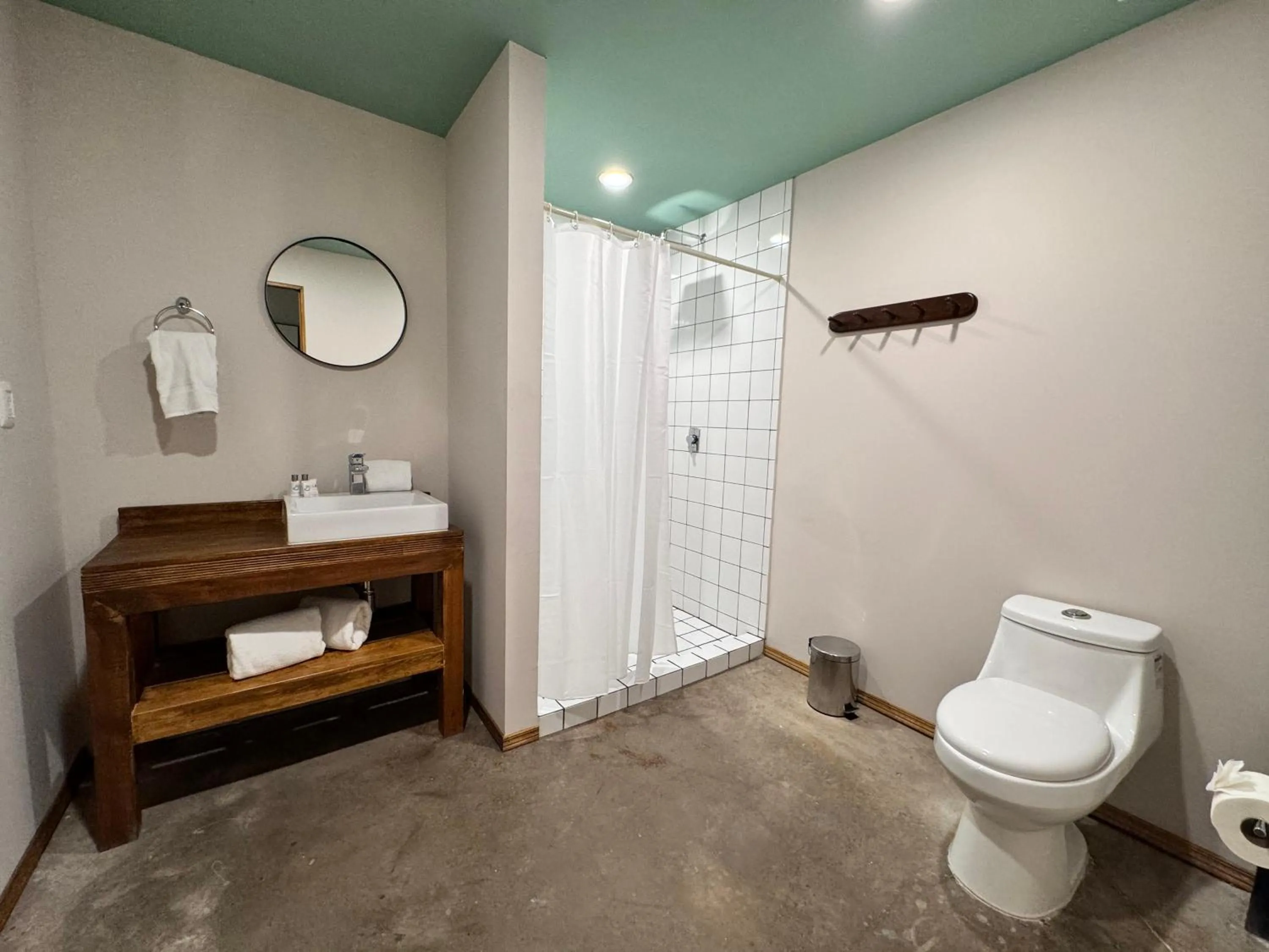 Shower in Hotel Olá Chapultepec