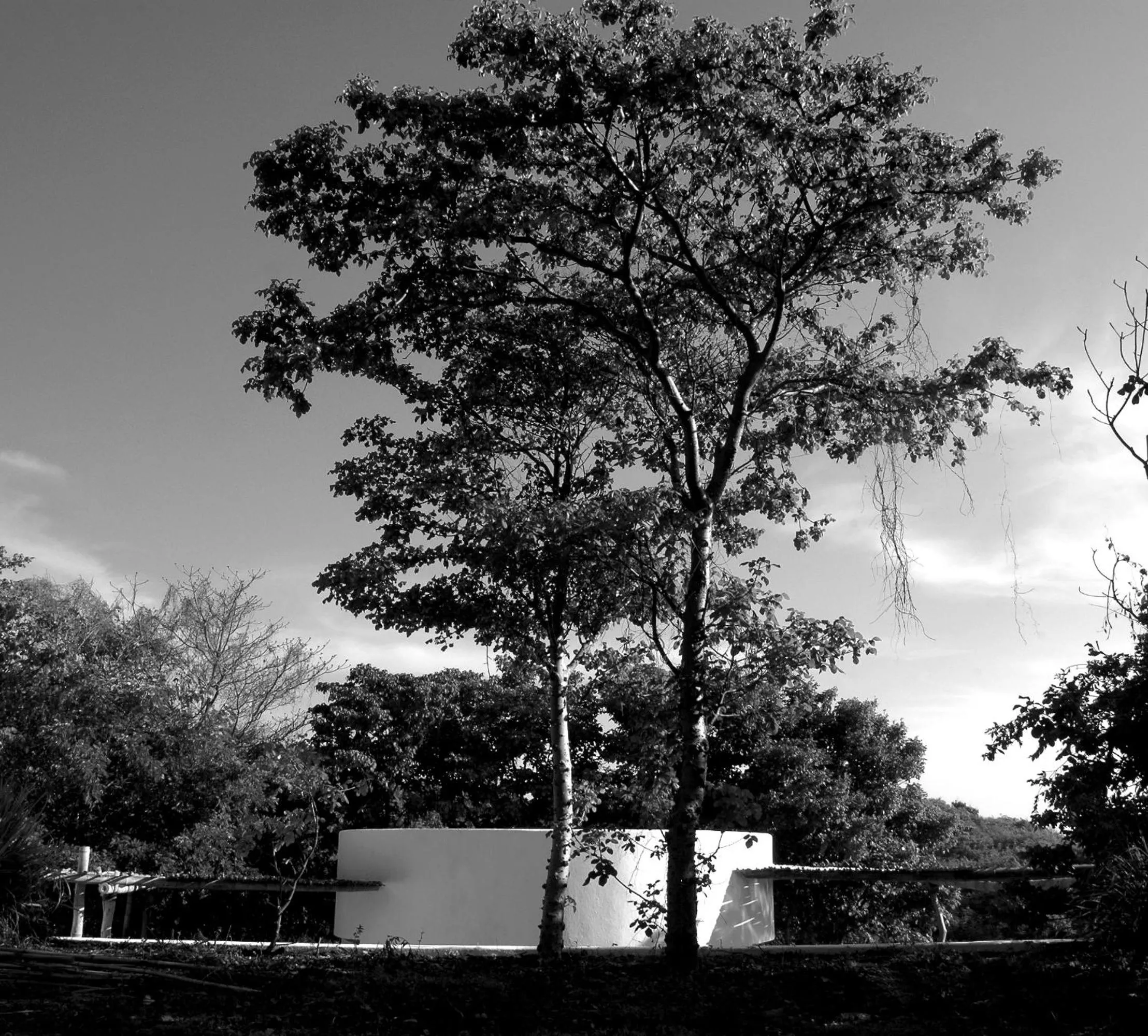 Garden in Casa Mermejita