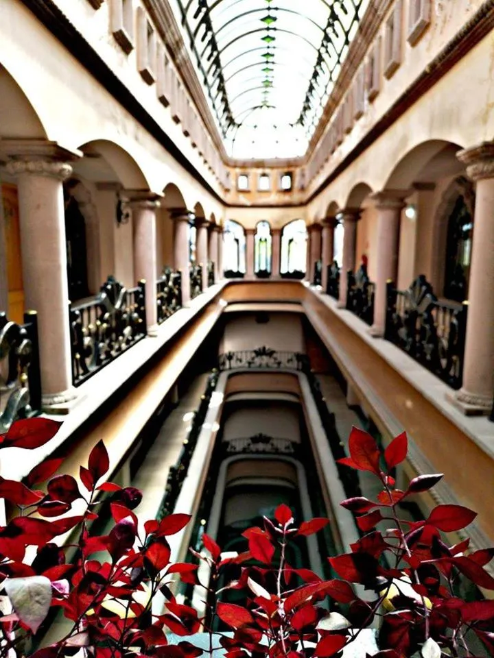 View (from property/room) in Hotel Hacienda los Narcisos