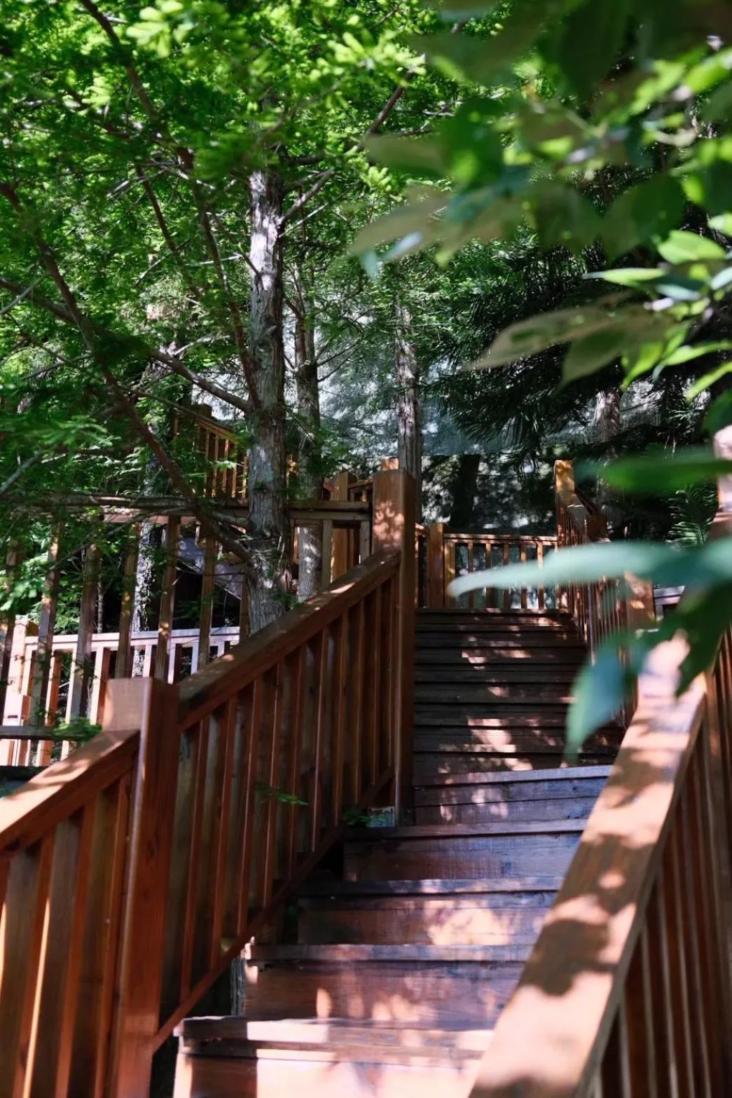 Property building in Spring Ground Resort