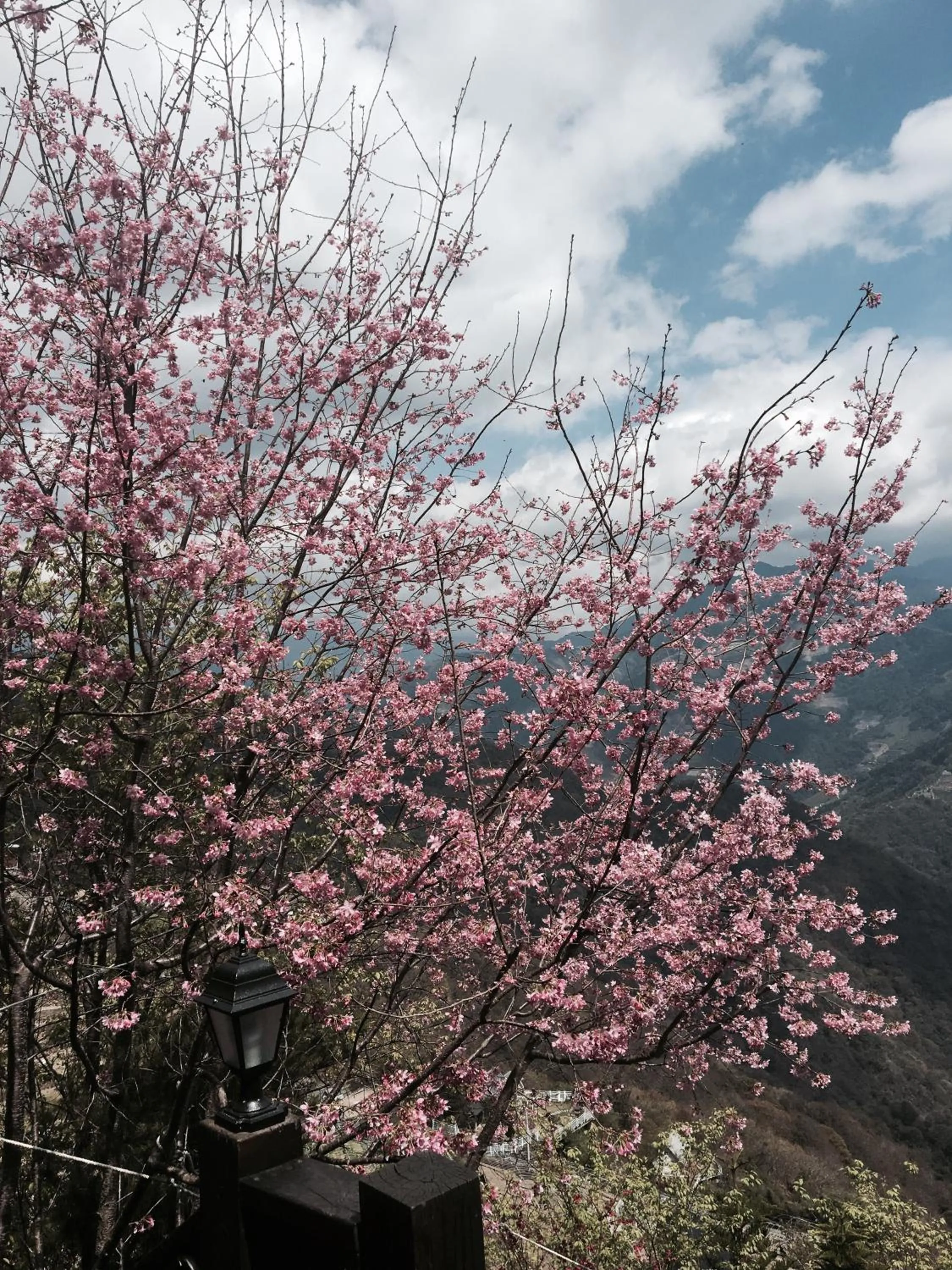 Spring in Spring Ground Resort