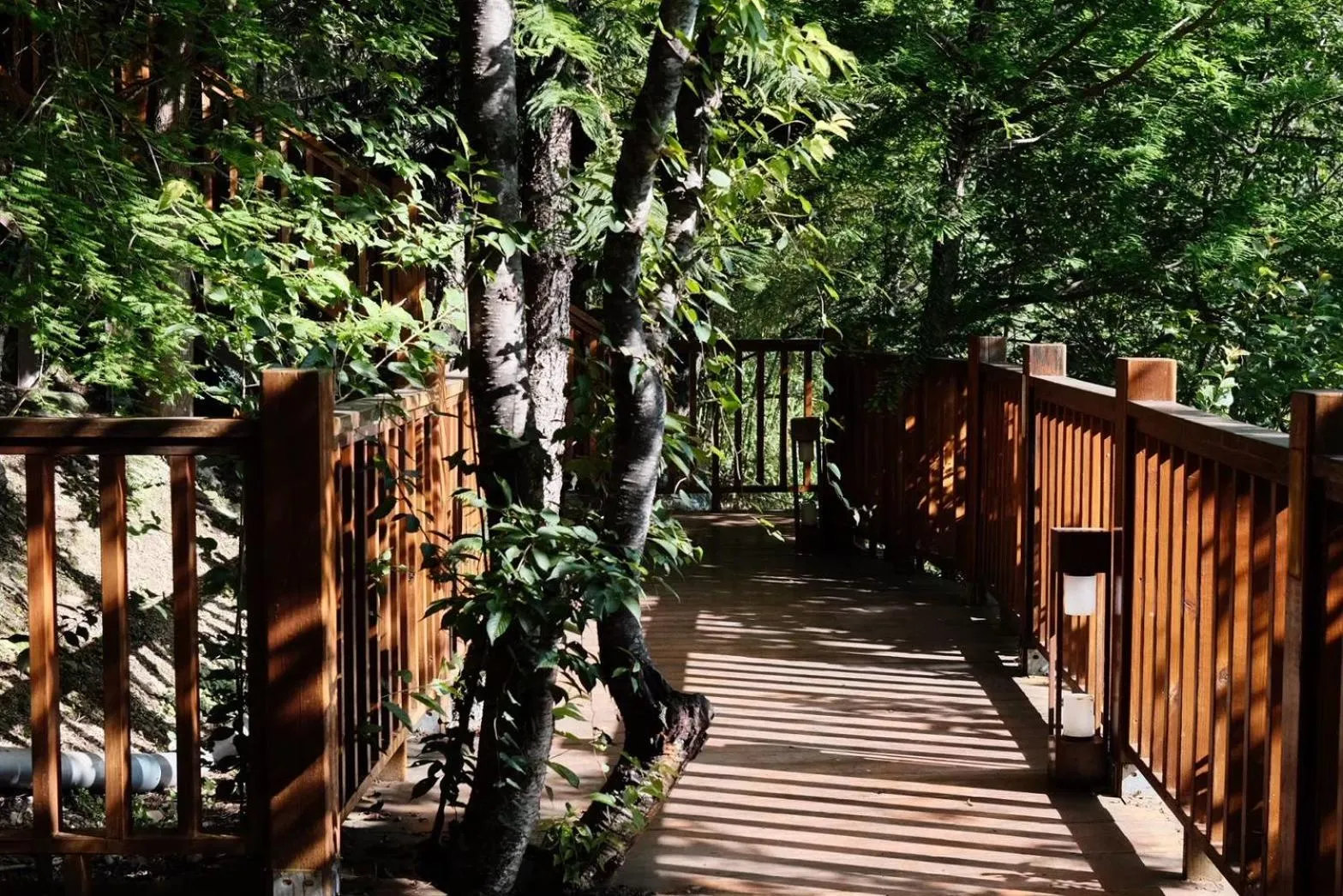 Spring Ground Resort