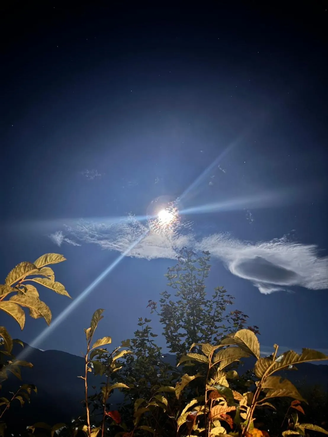 Spring Ground Resort