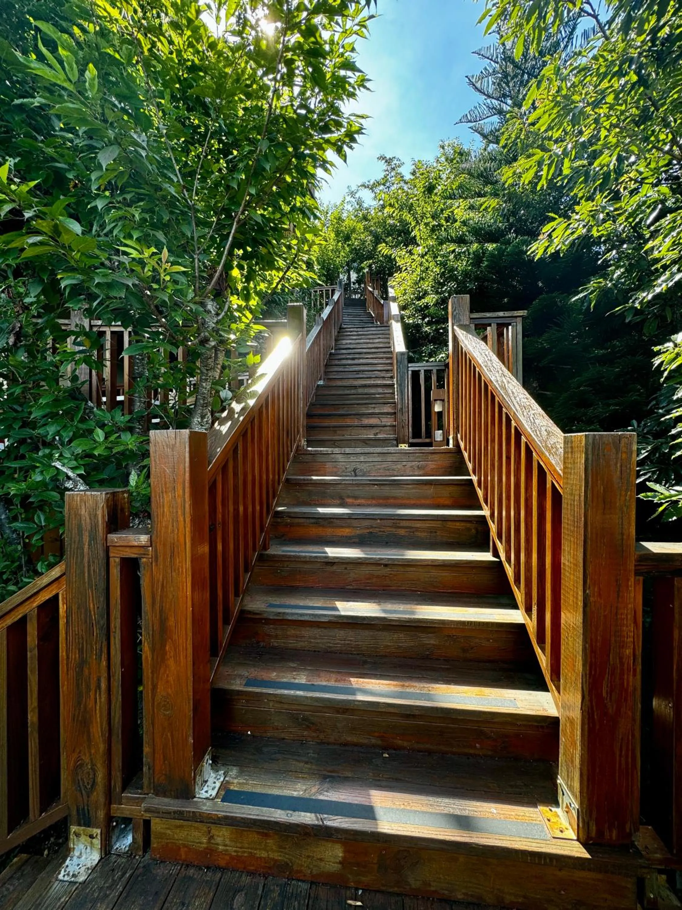 Natural landscape in Spring Ground Resort