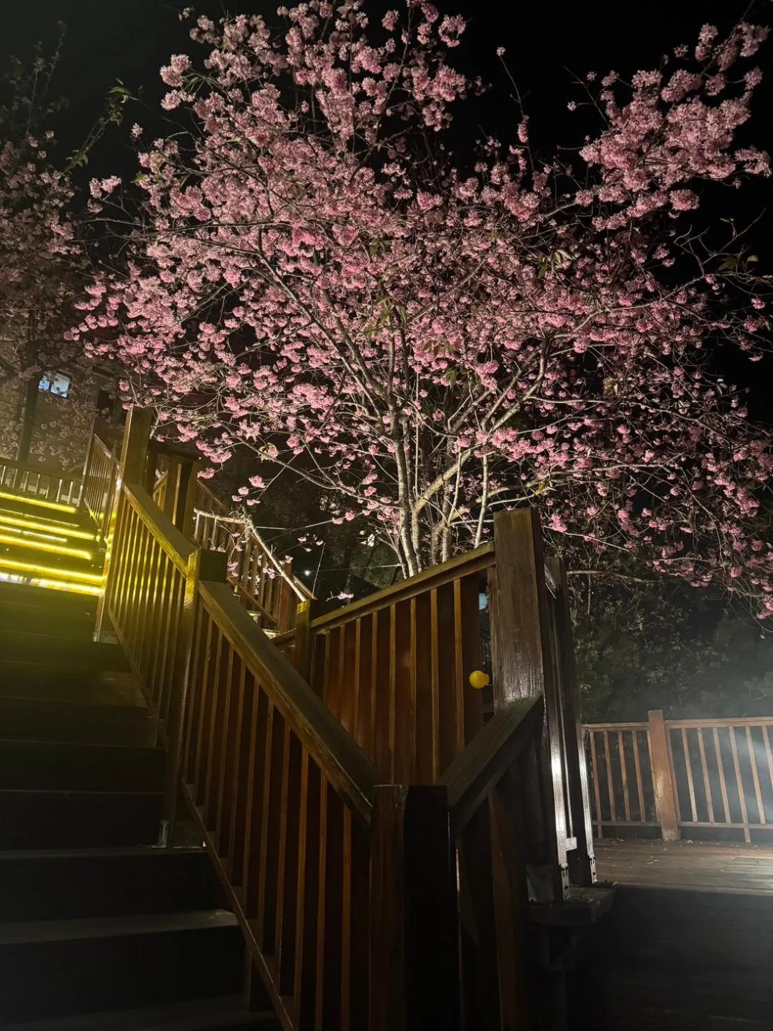 Spring in Spring Ground Resort