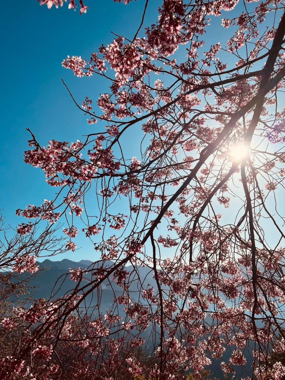 Spring Ground Resort