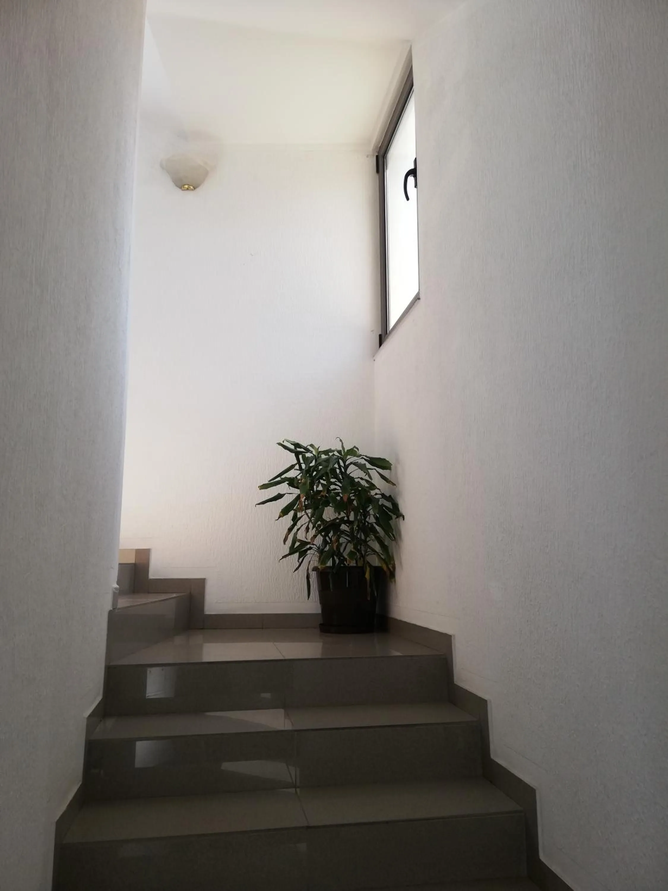 Property building in Yeshill Apart & Studio