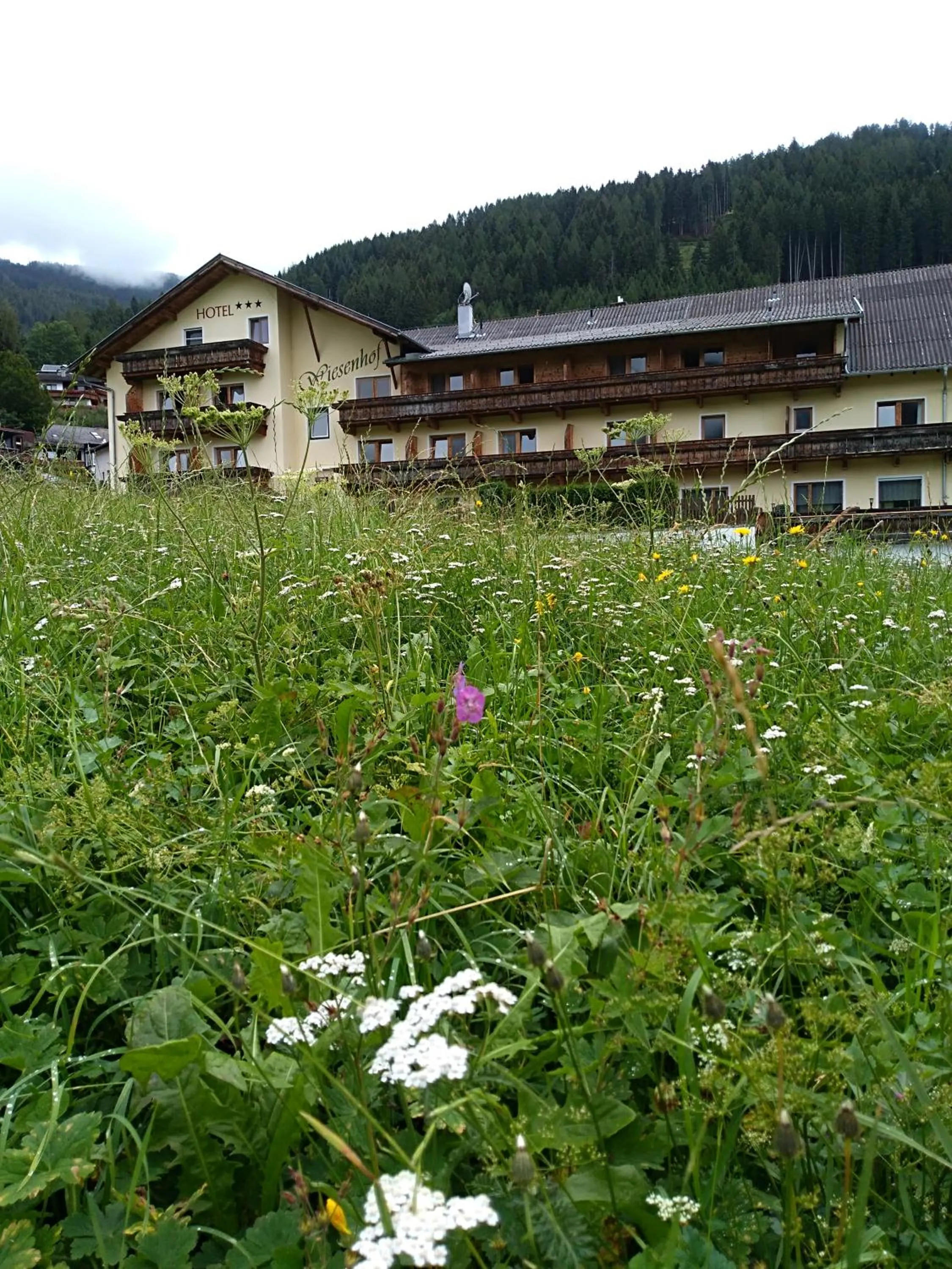 Property building in Hotel Wiesenhof