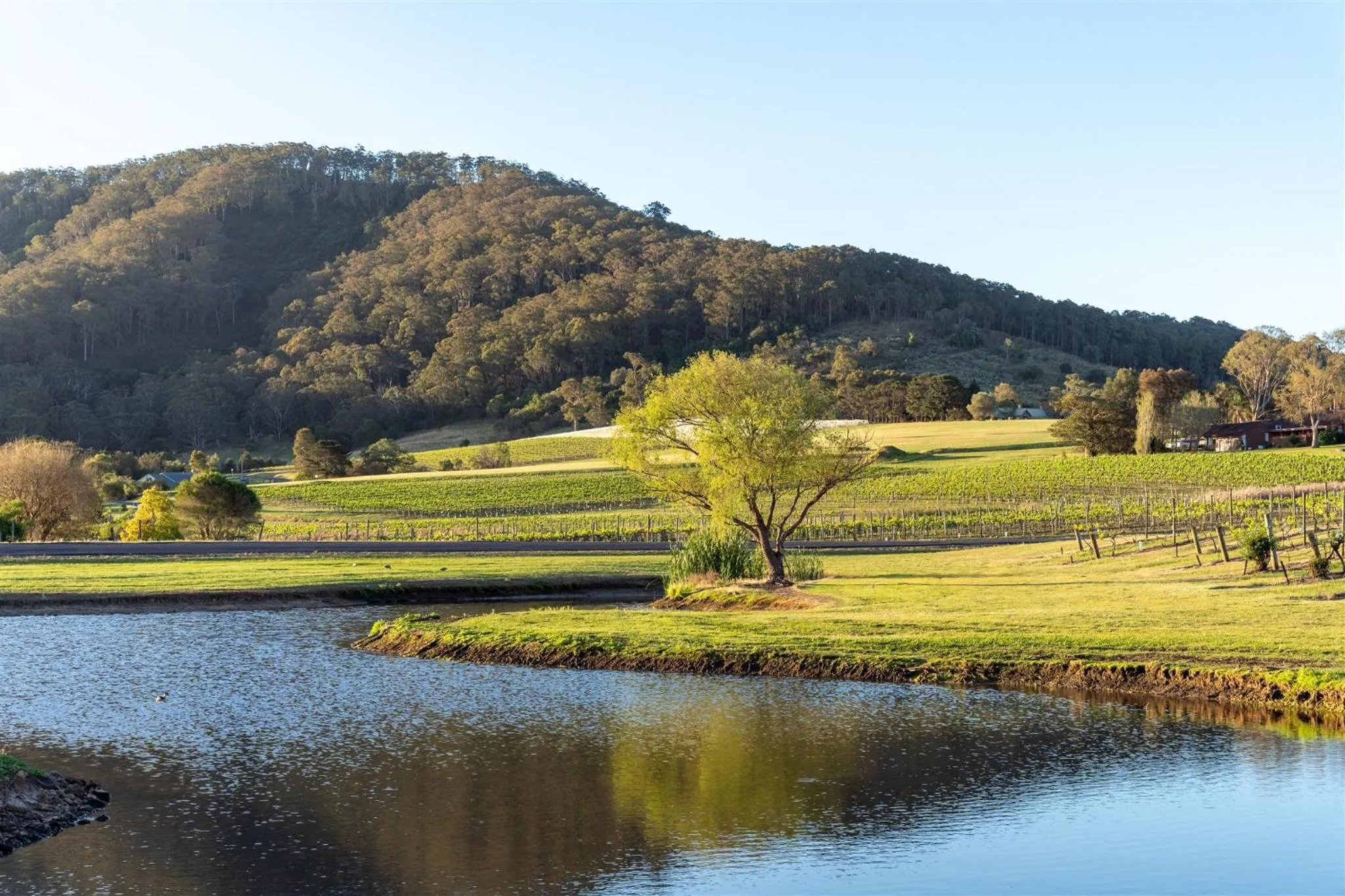 Facade/entrance in Coolangatta Estate Shoalhaven Heads