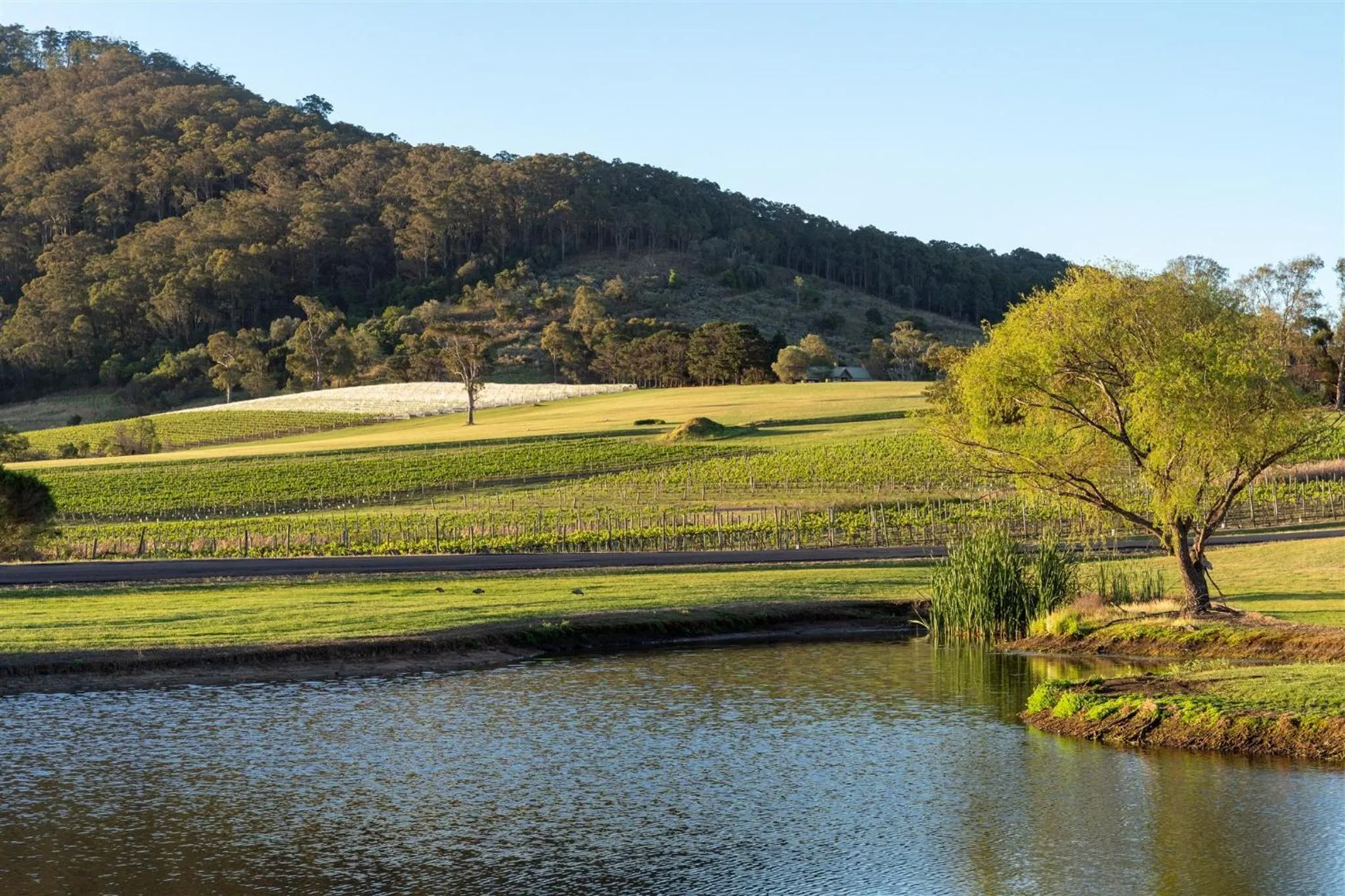 Facade/entrance in Coolangatta Estate Shoalhaven Heads