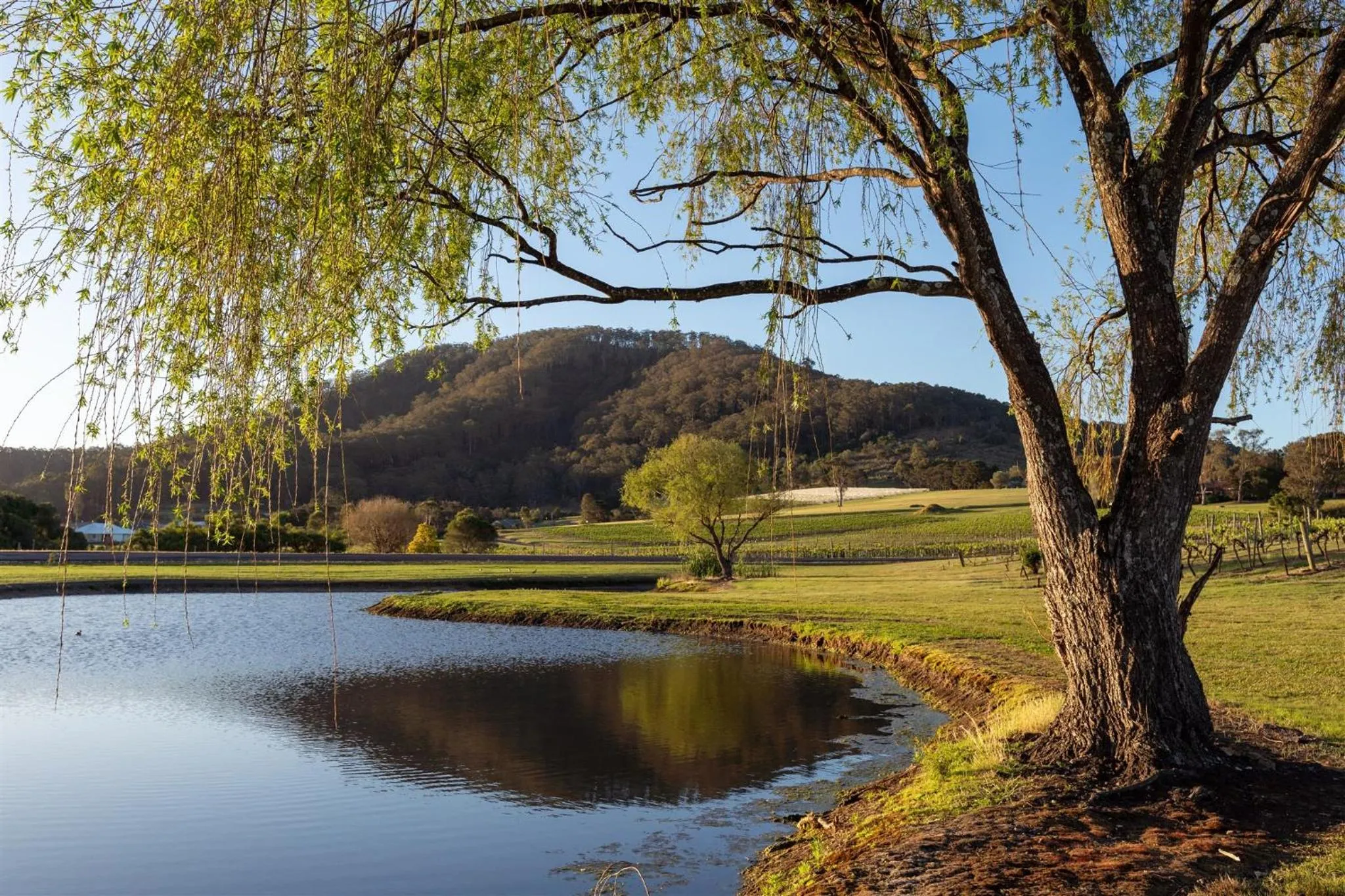 View (from property/room) in Coolangatta Estate Shoalhaven Heads